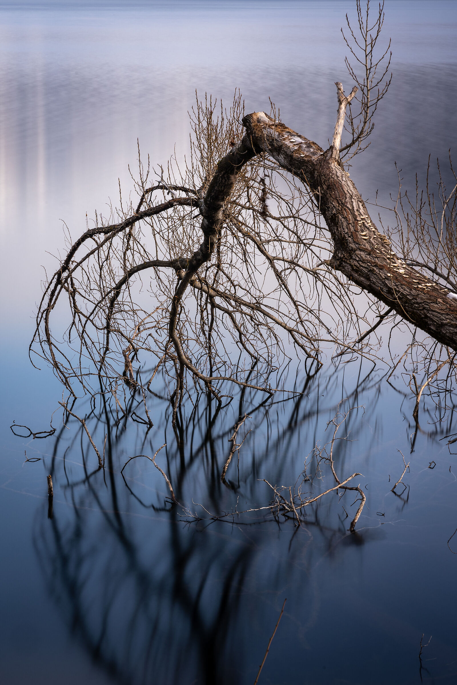 Reflections - Lake Caldonazzo Trentino Italy