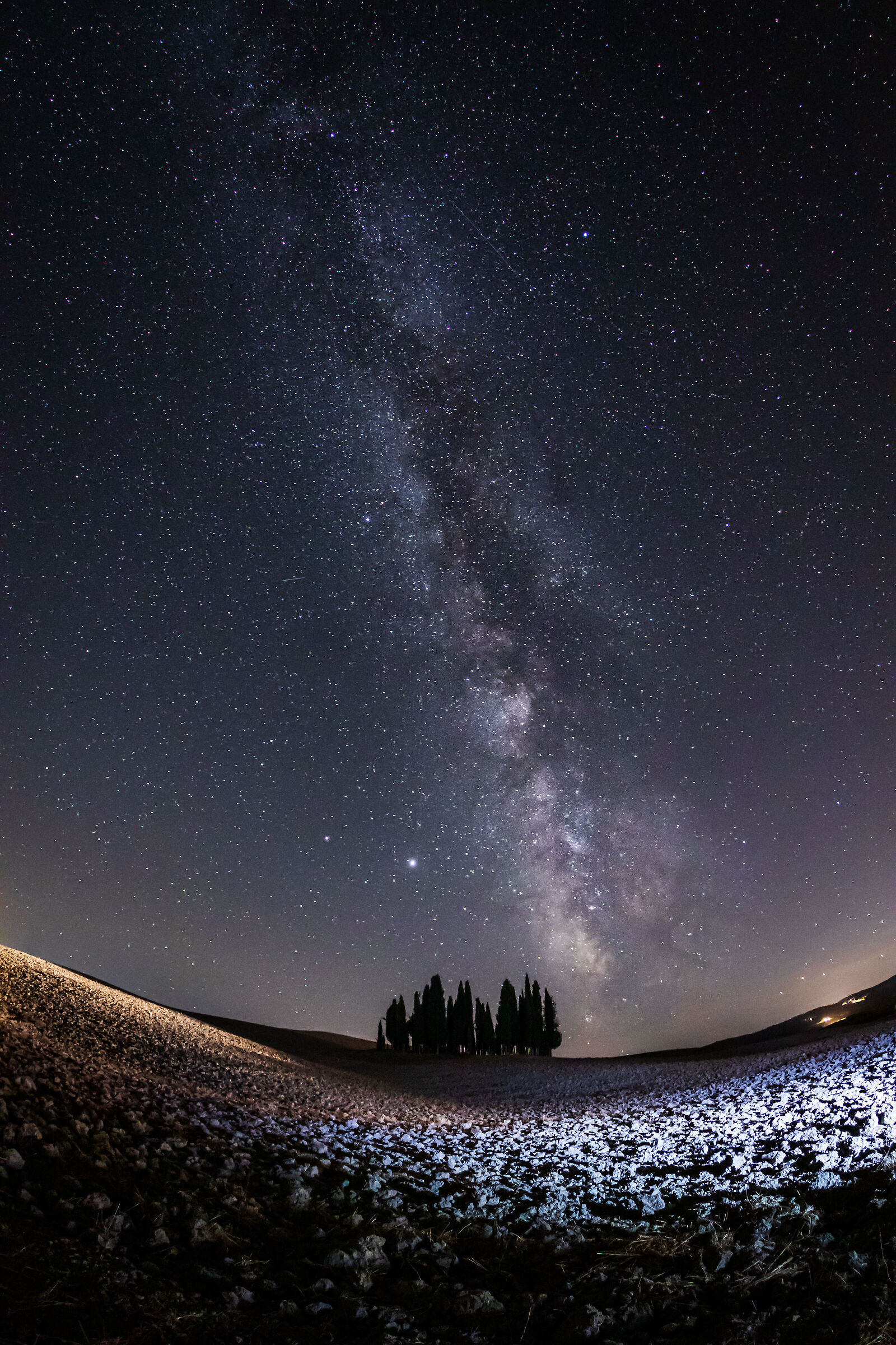 Cipressi a San Quirico