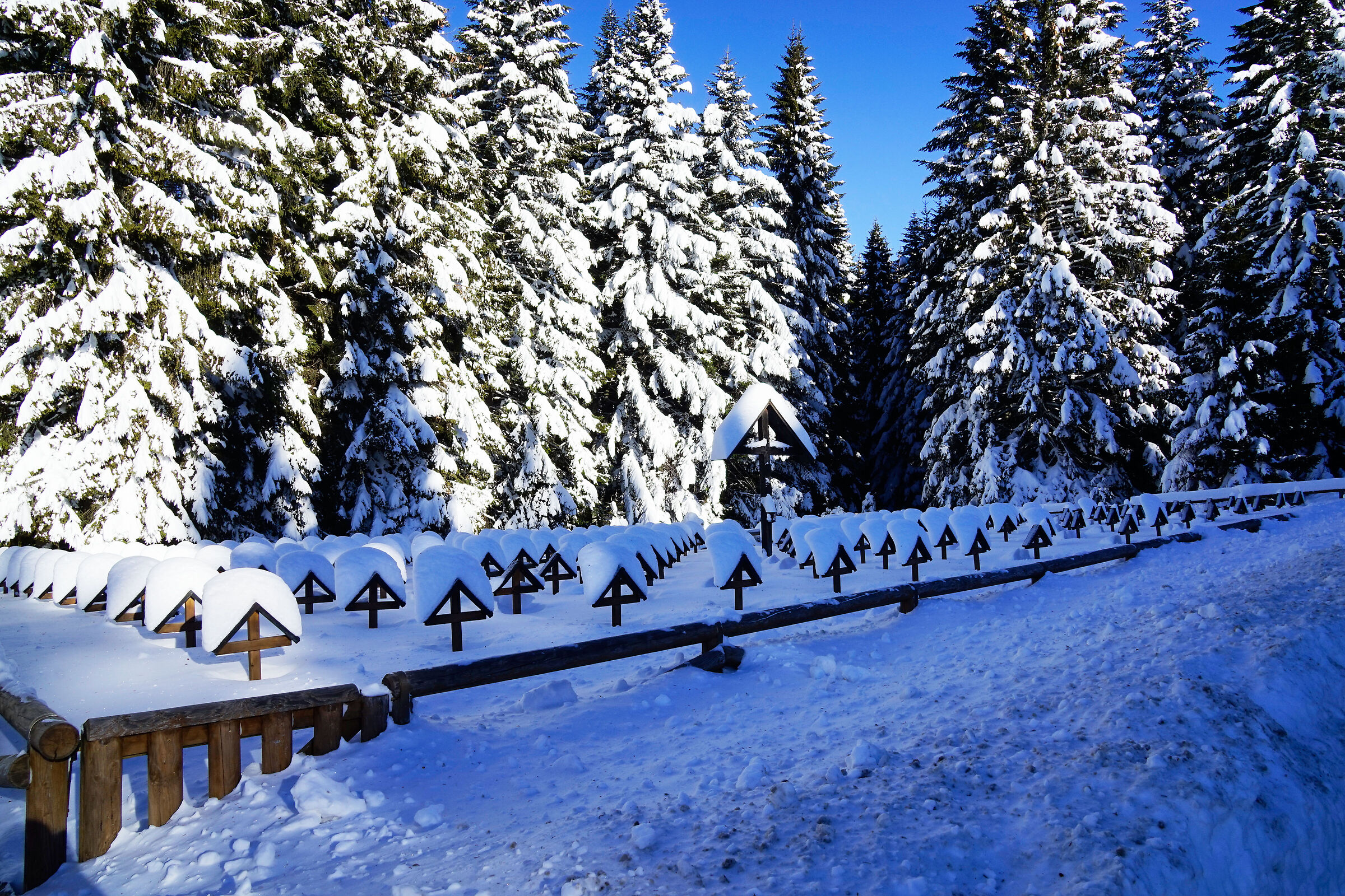 Copri col tuo bianco, soffice mantello...