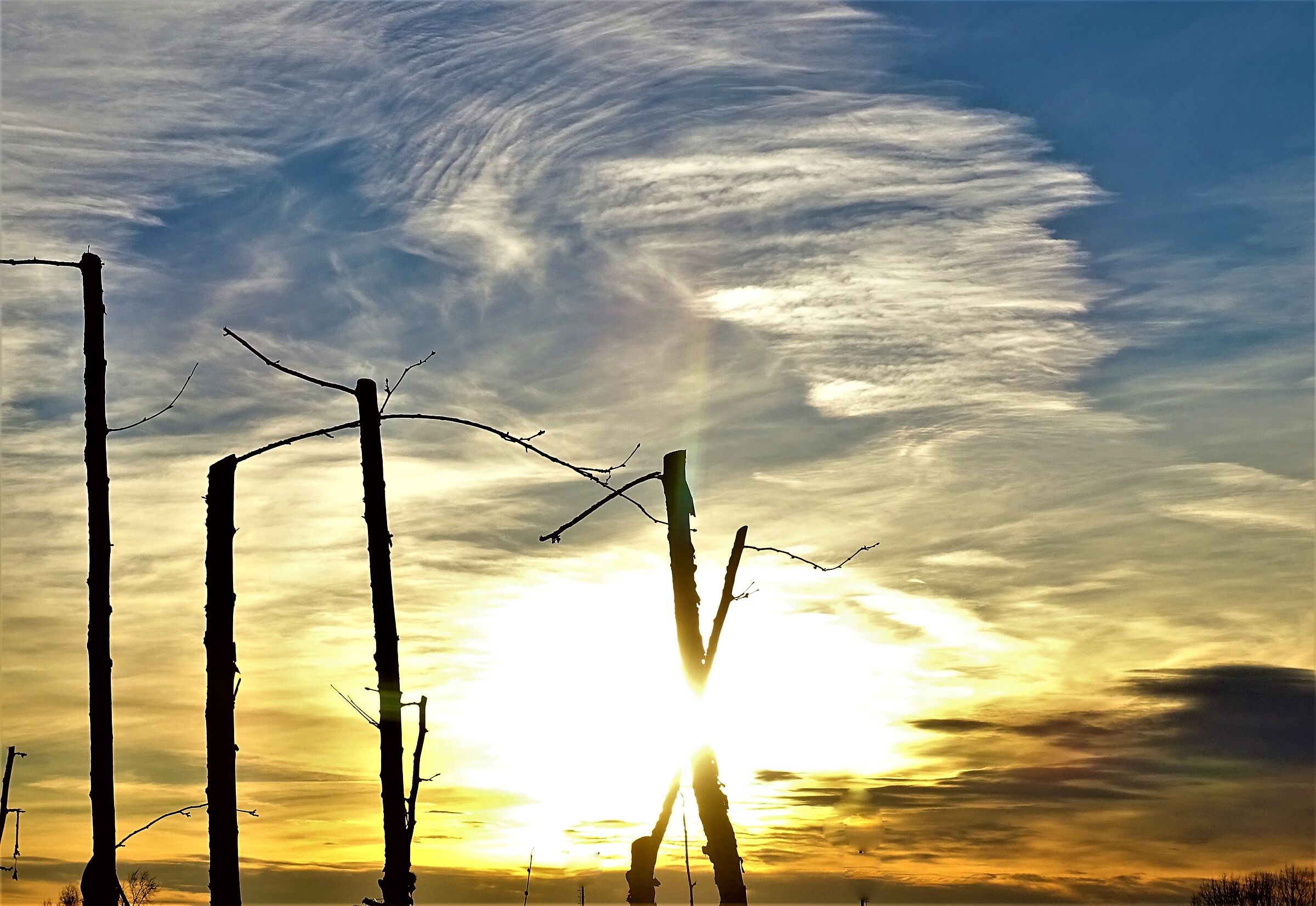 dawn.. this morning 30.01.2021