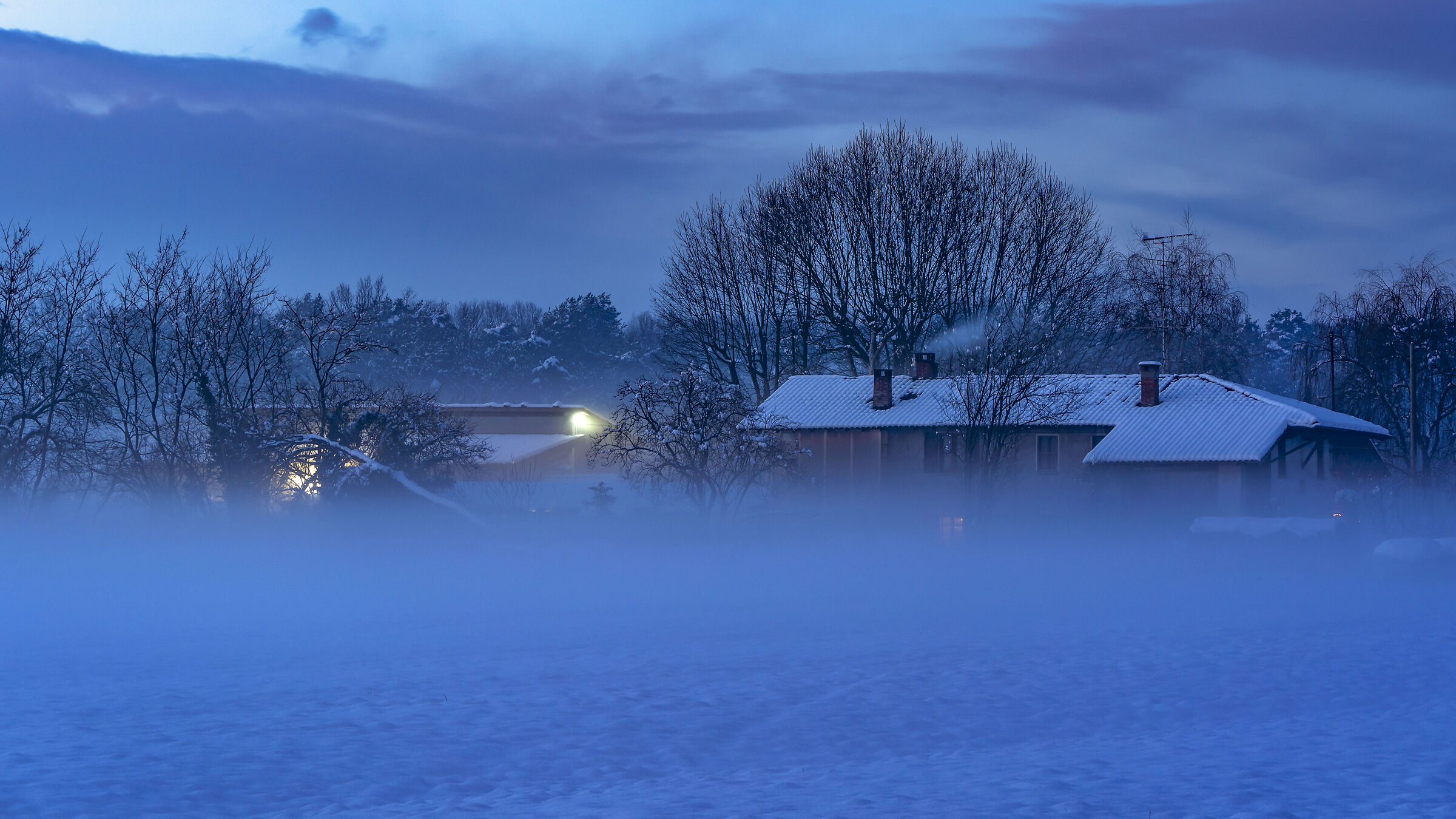 Immersed in fog
