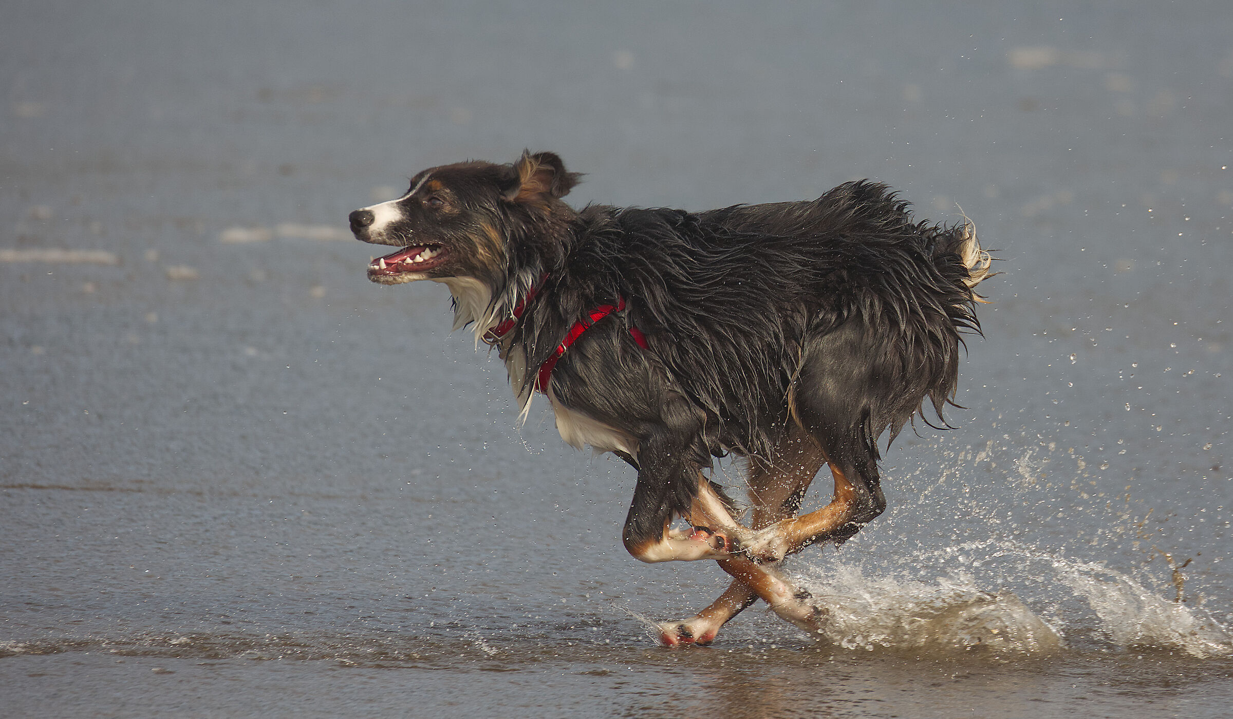 correre, correre, correre...