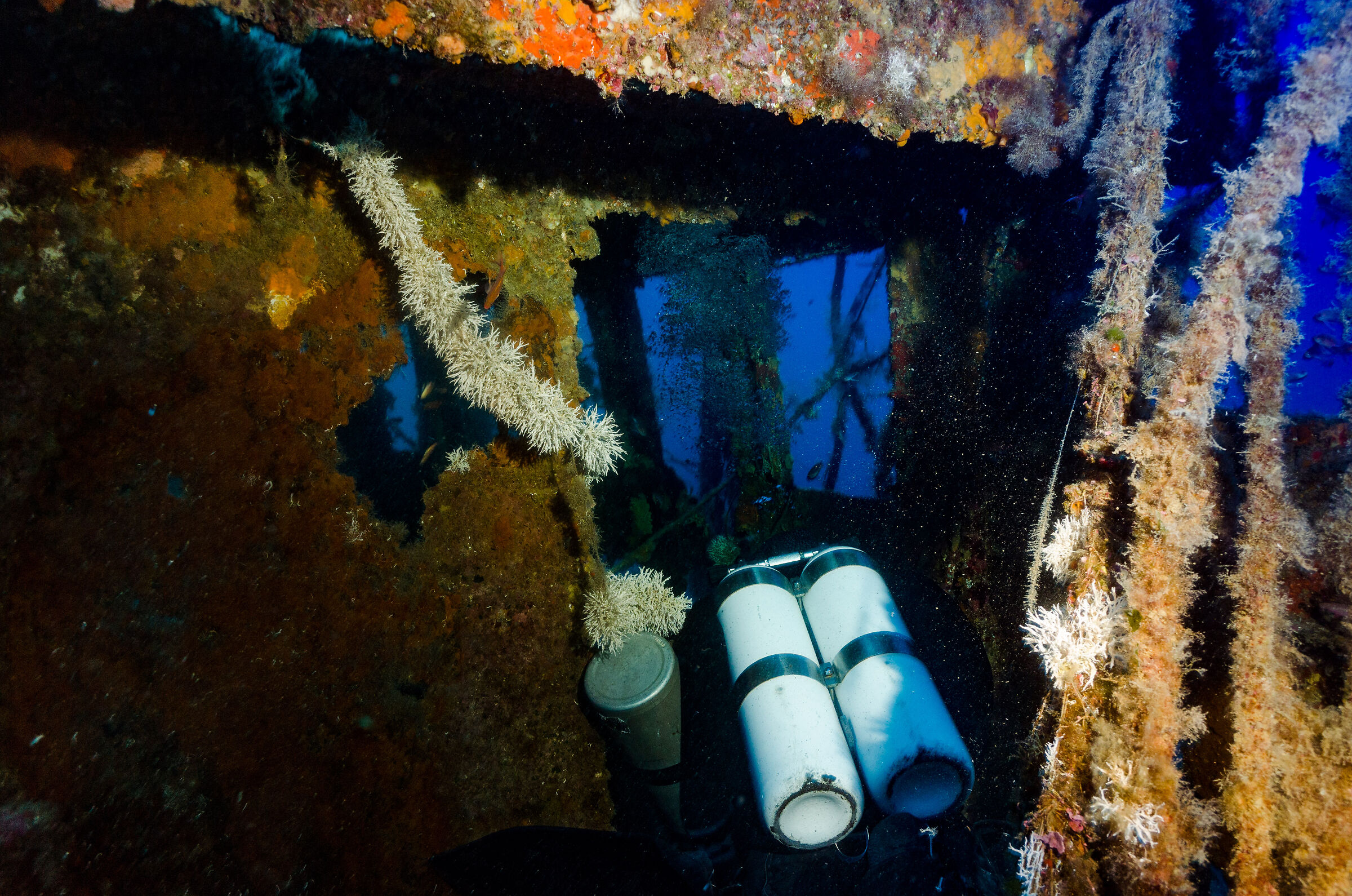deep 5a