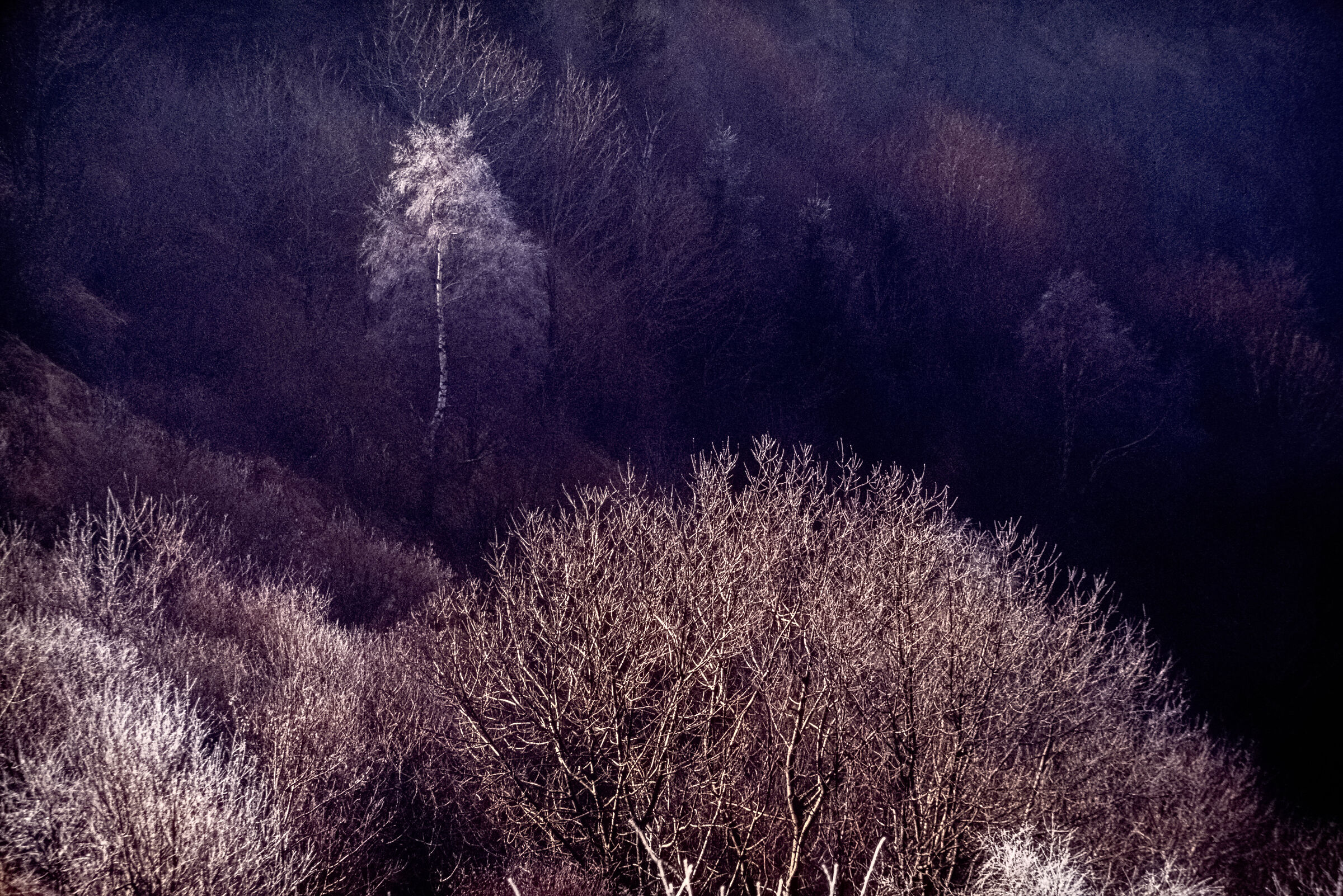 Galaverna -Kodachrome-