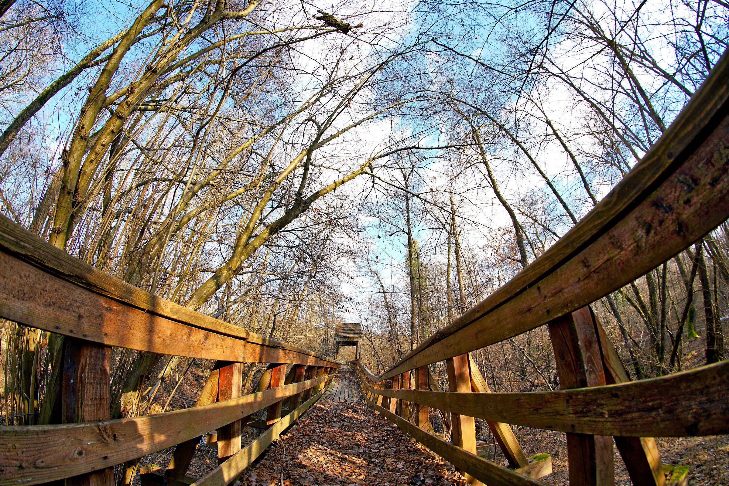 Riserva La Fagiana Parco del Ticino