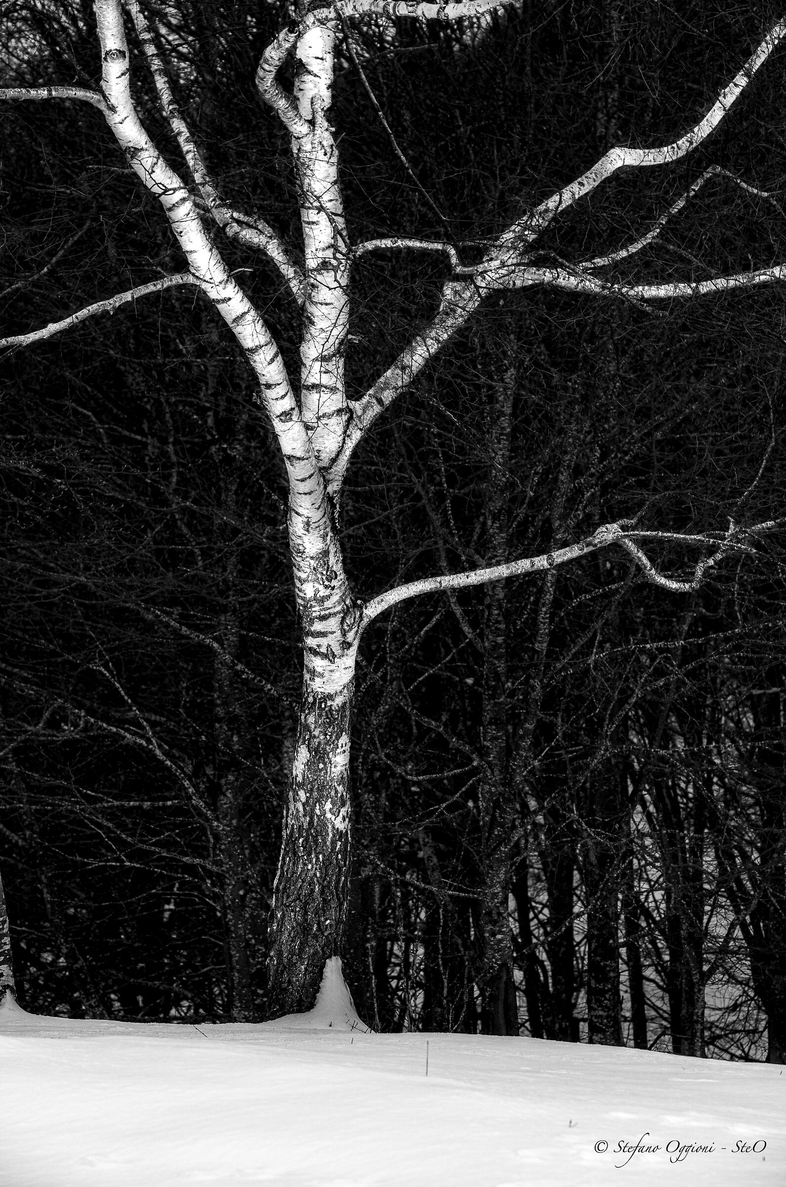 Bianco nero