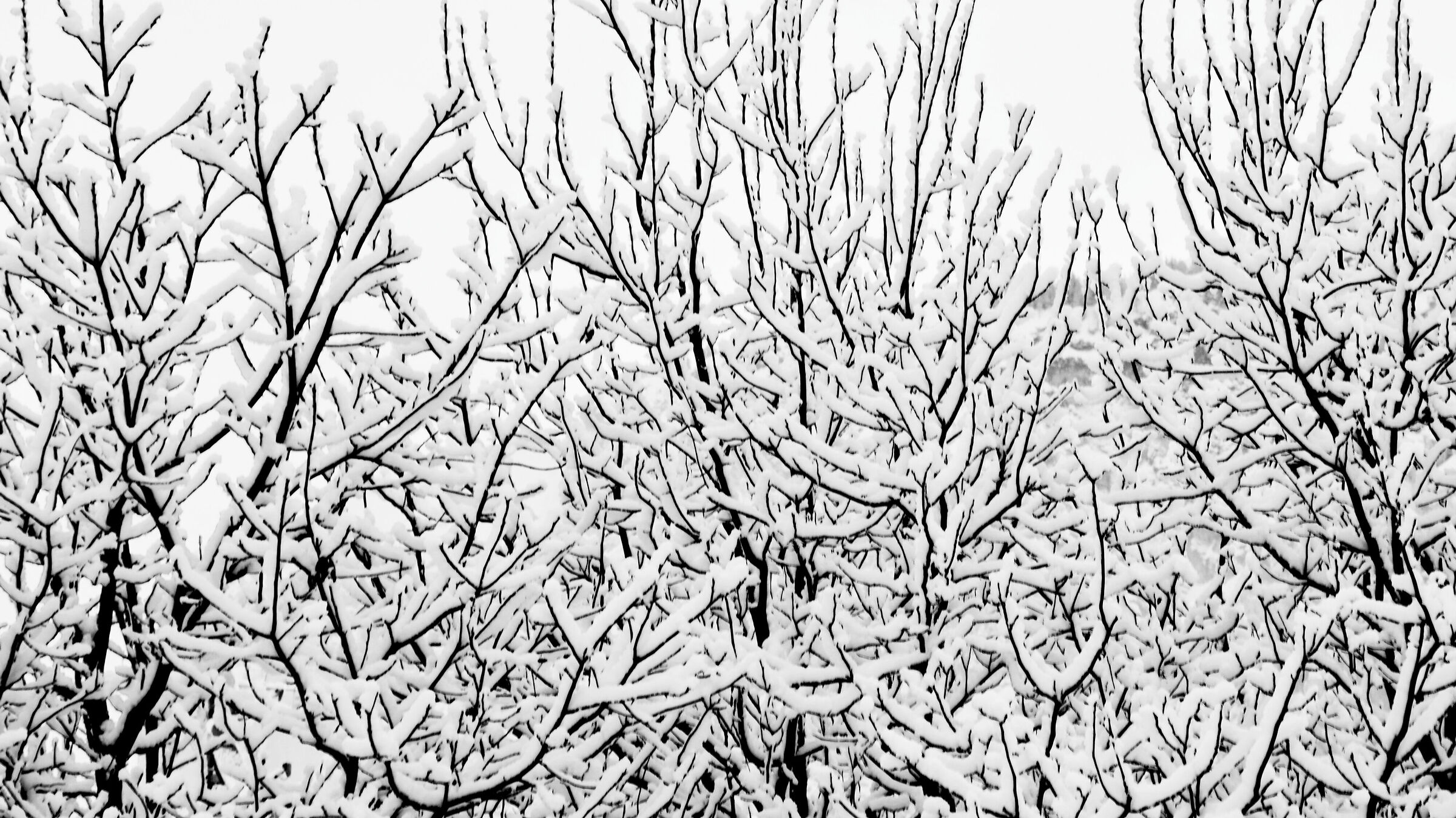 I giorni della merla