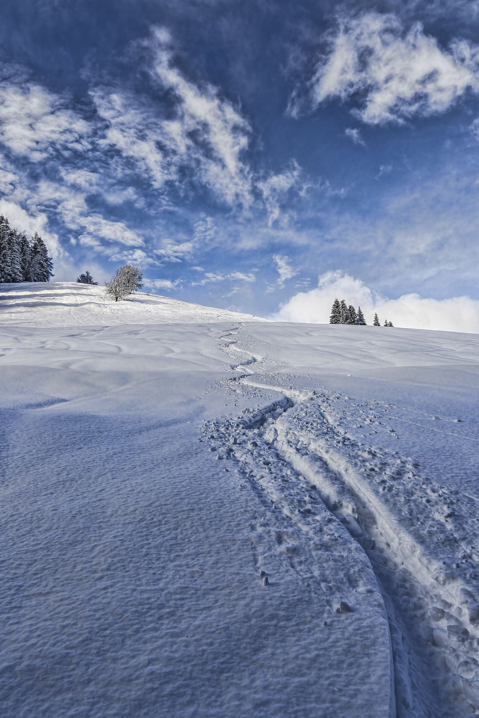Even today fresh snow (which enjoys)