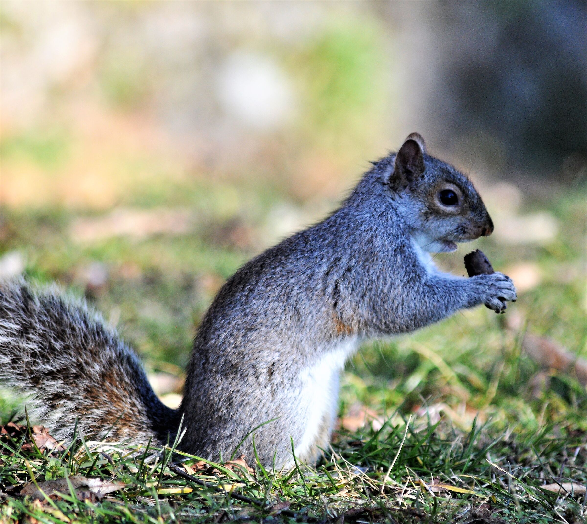 meetings at parco del Valentino - Turin
