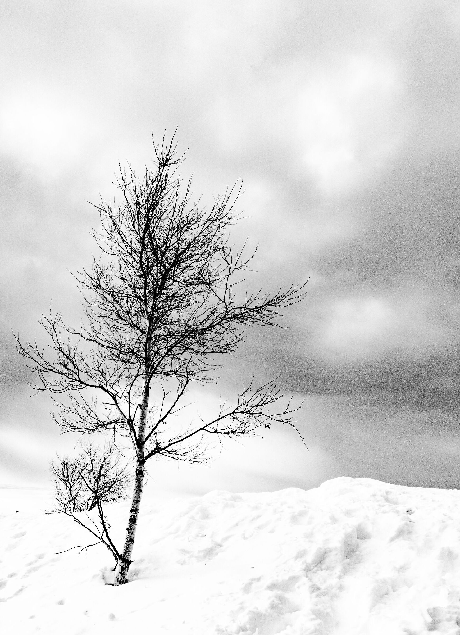 Solitario