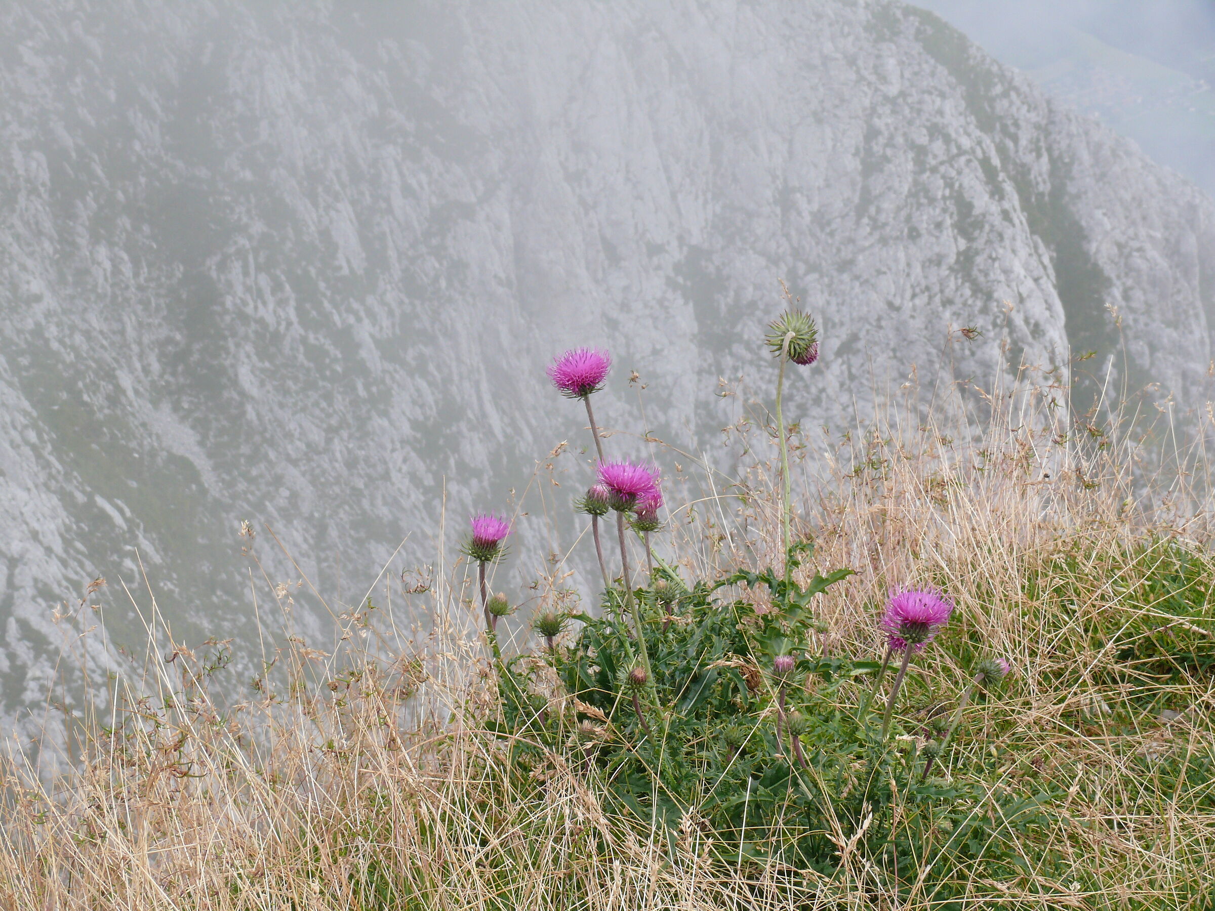 Ad un passo dal baratro