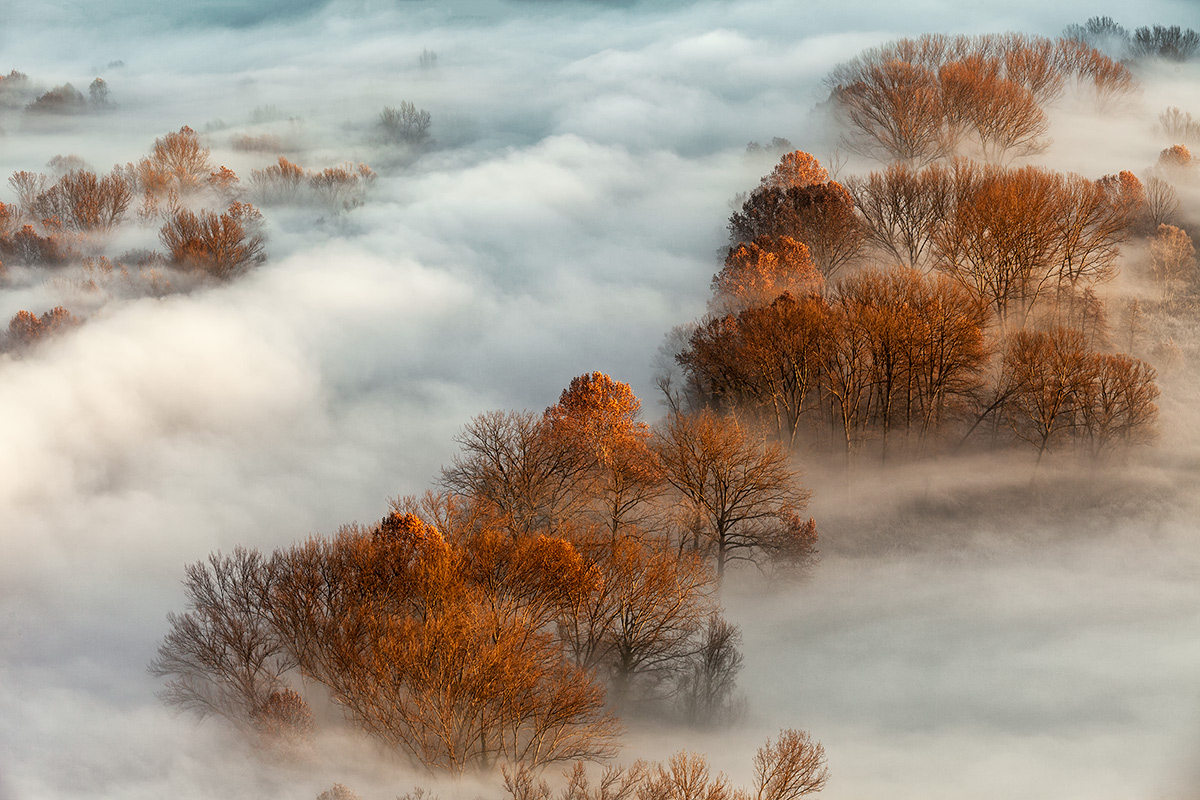 Rosso di .. mattina ..