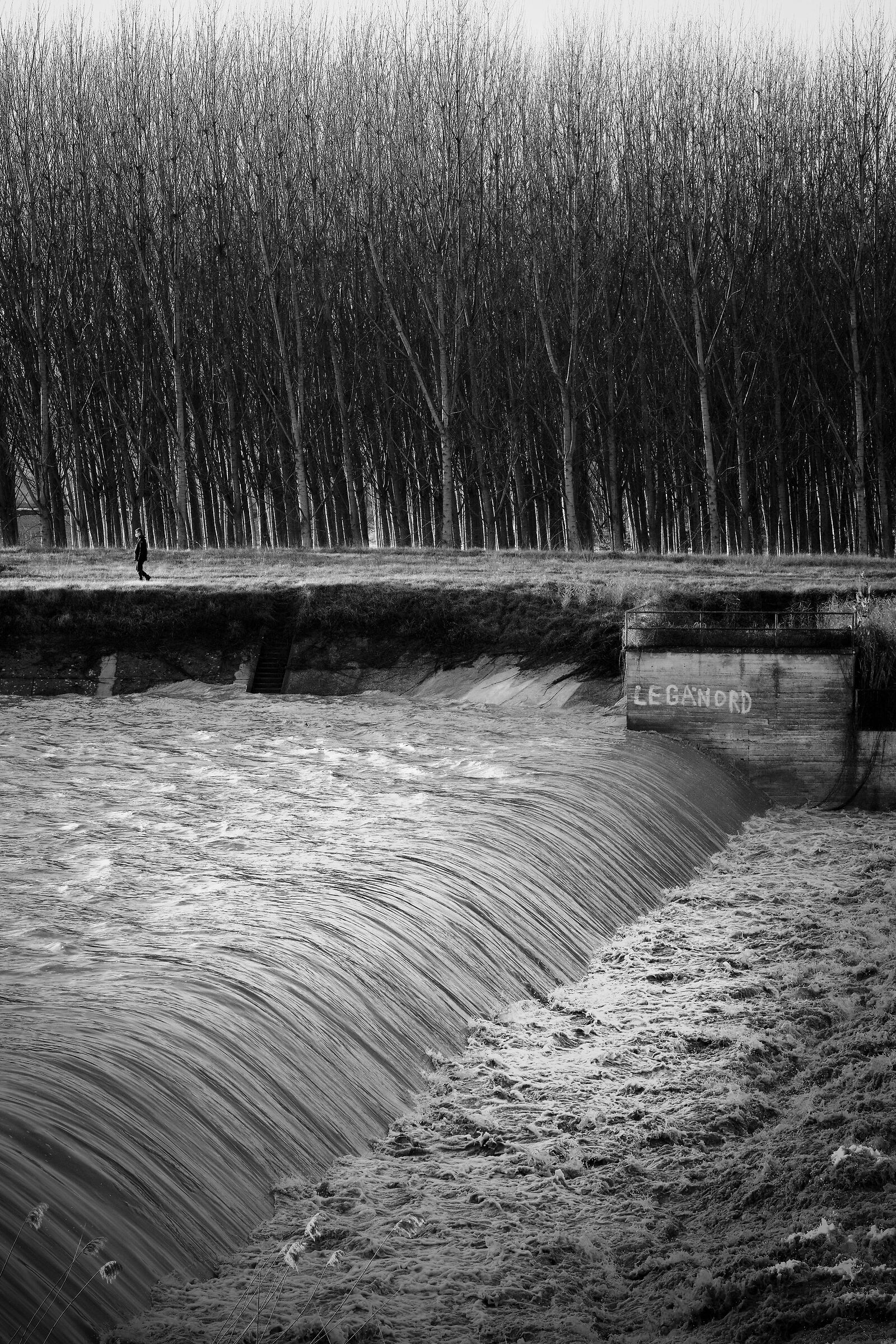 Full alert 2021 Outflow of the Rhine