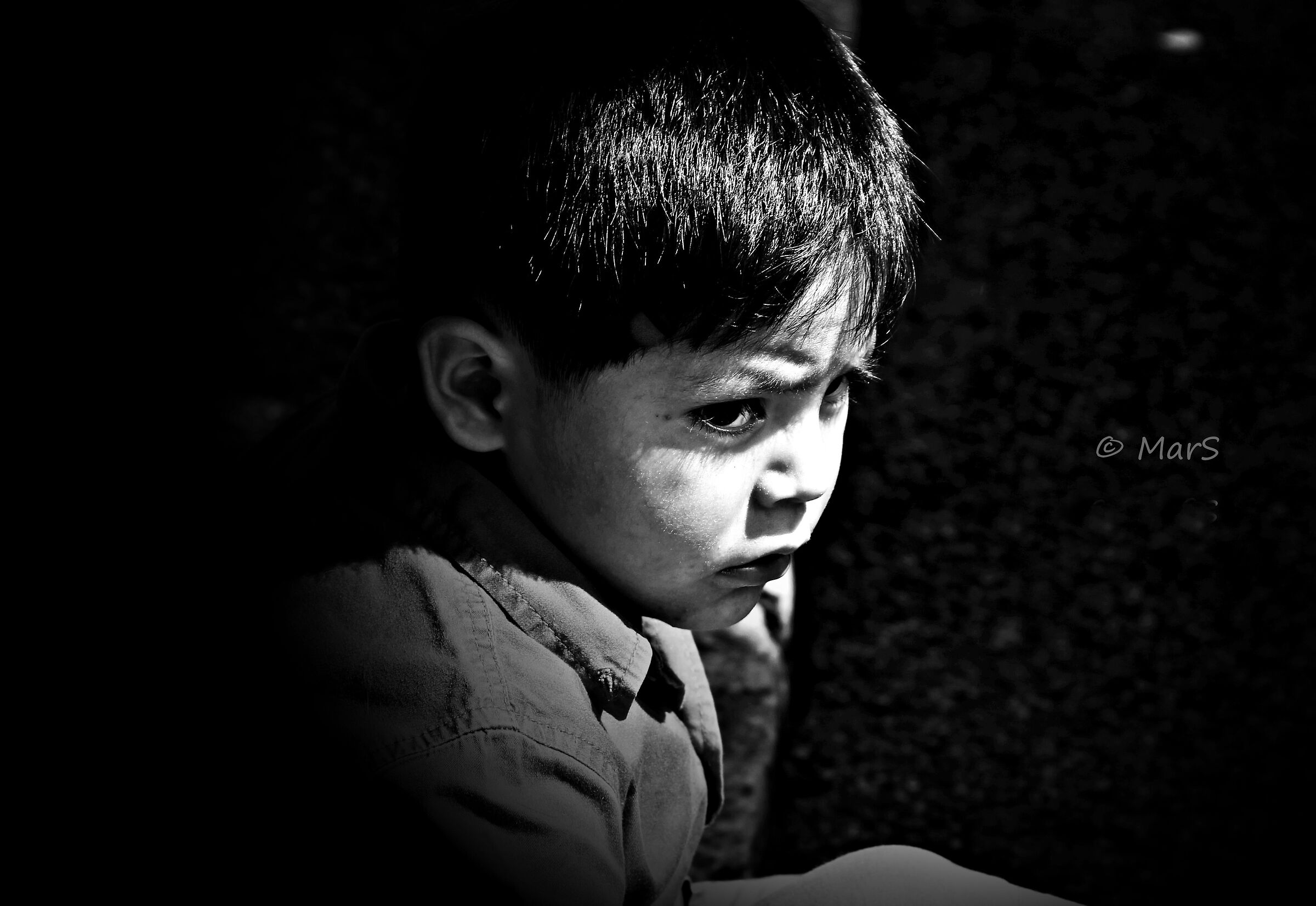 Untitled Photo