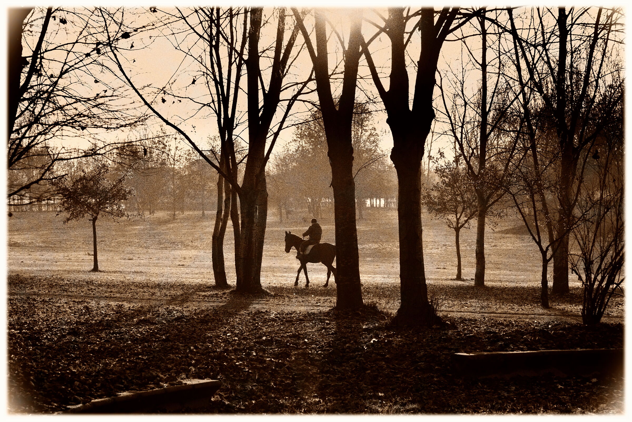 Riding in the park