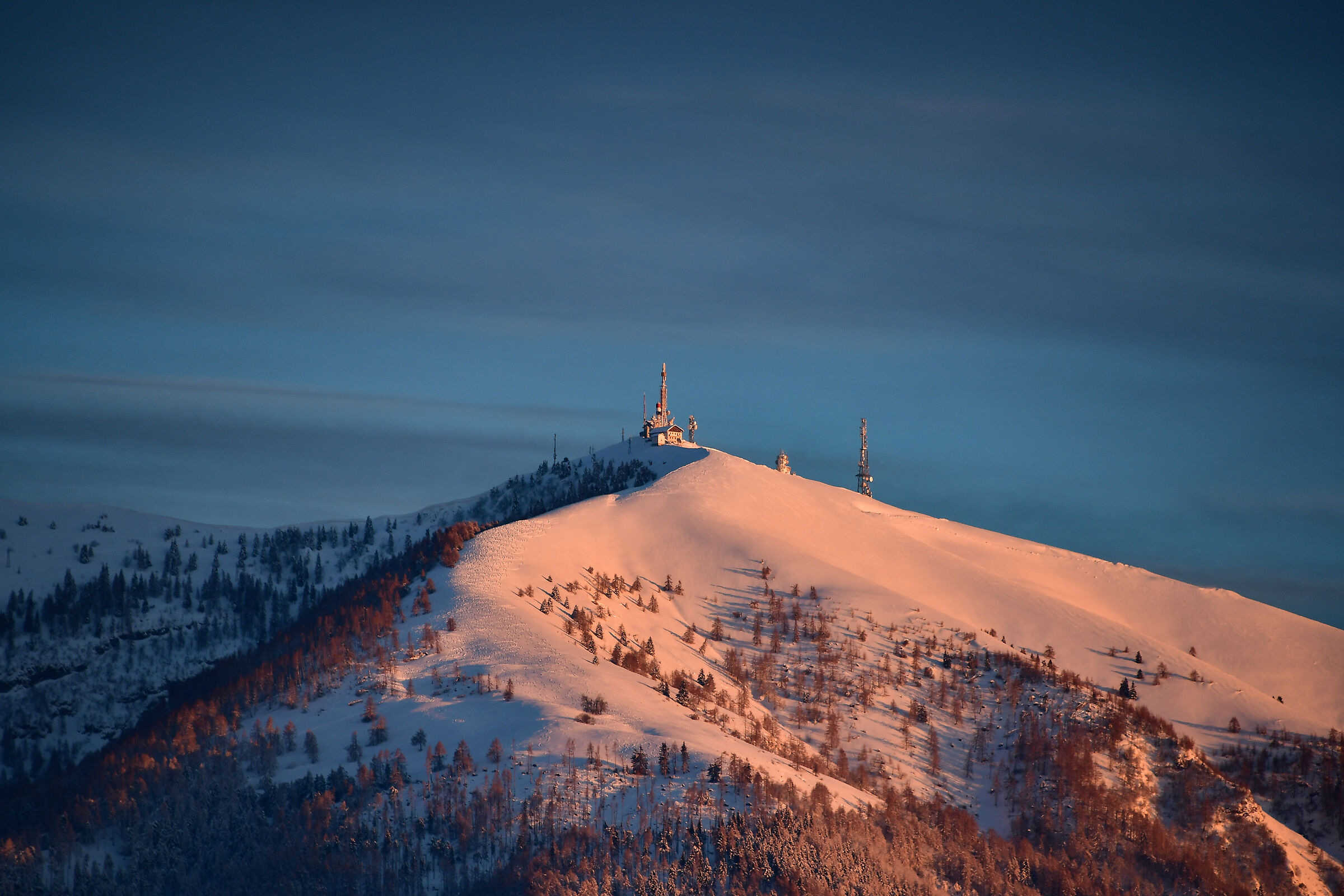 Col Visentin ( Belluno )
