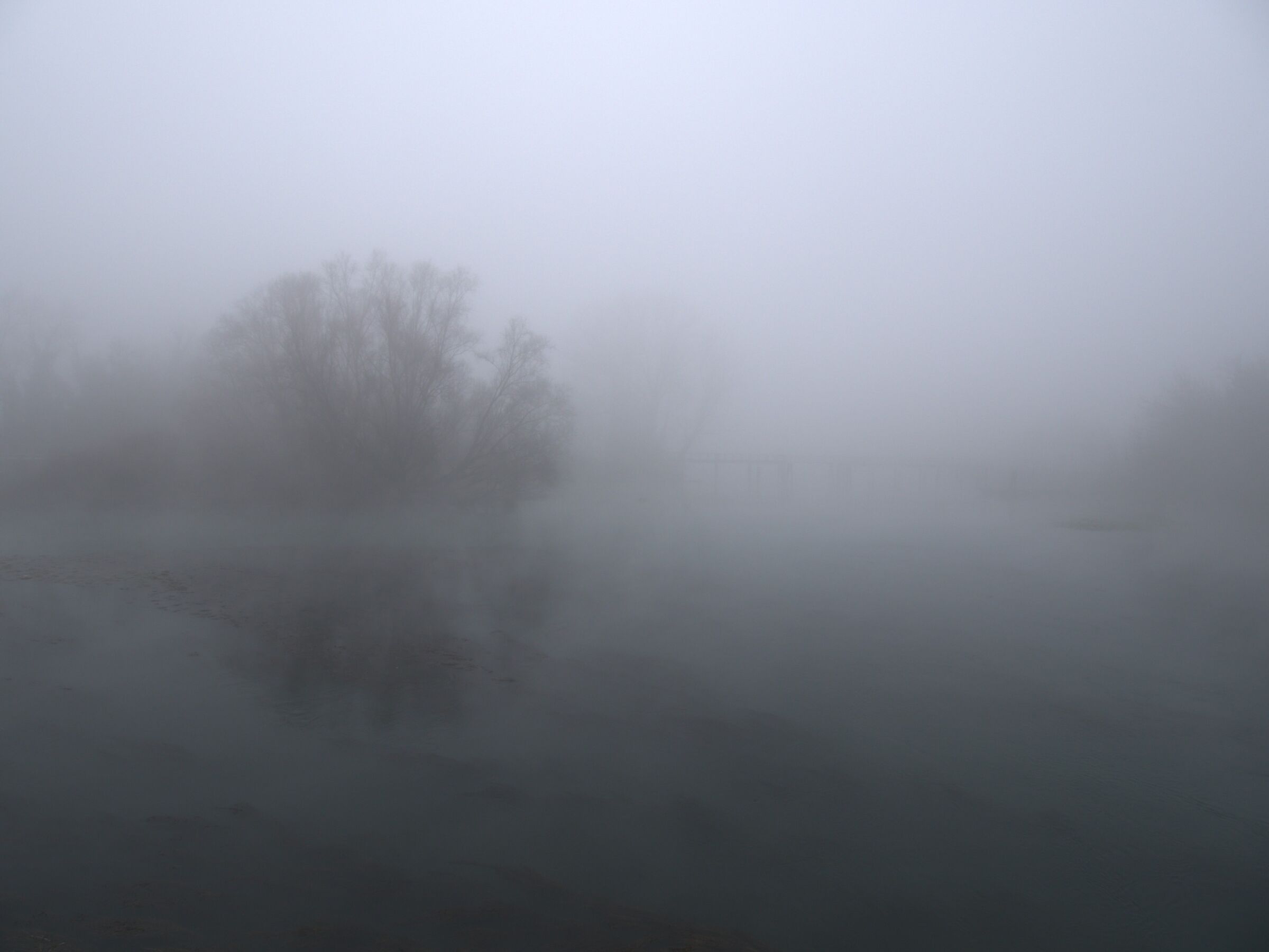 Di là dal fiume e tra gli alberi (cit. Hemingway)