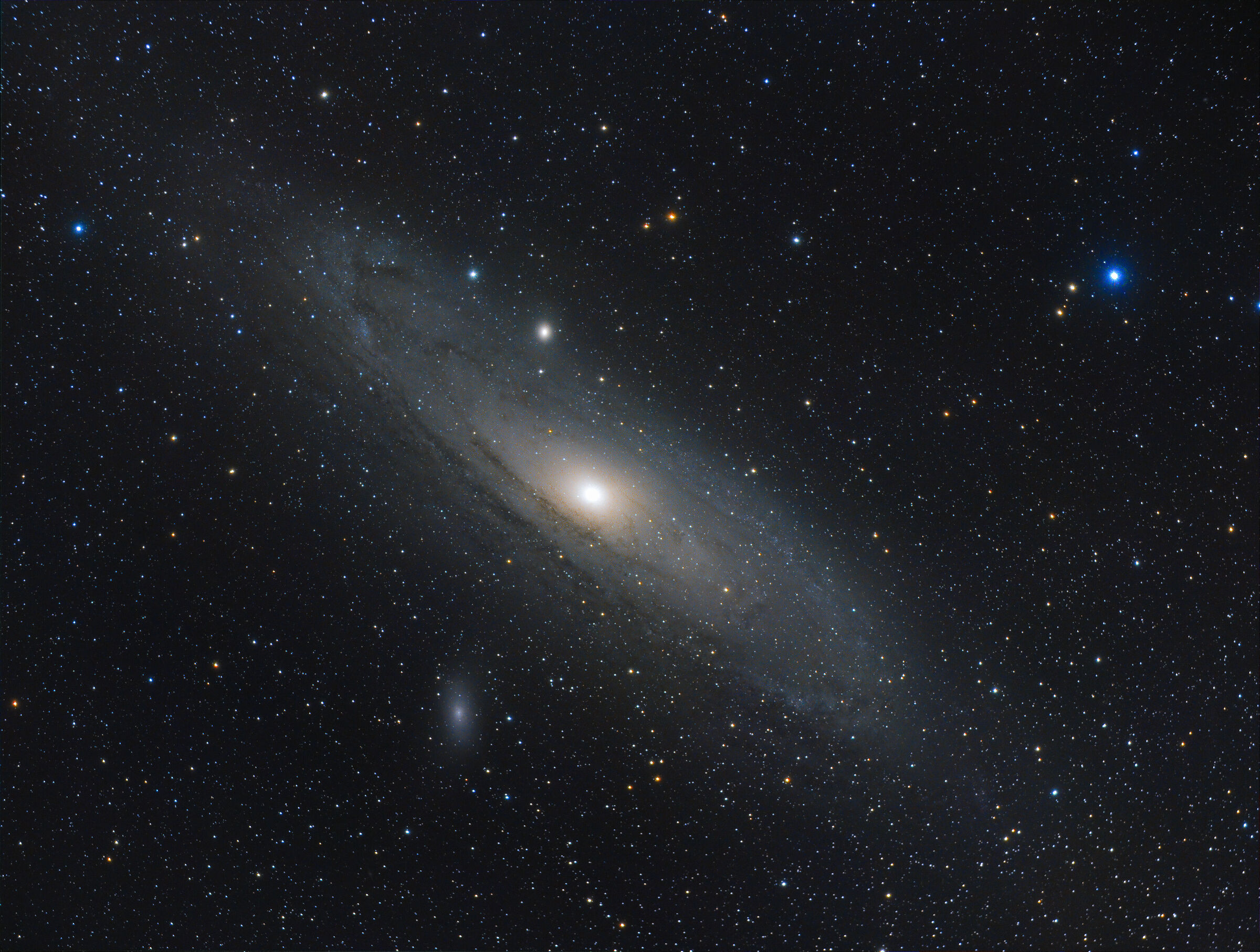 M31