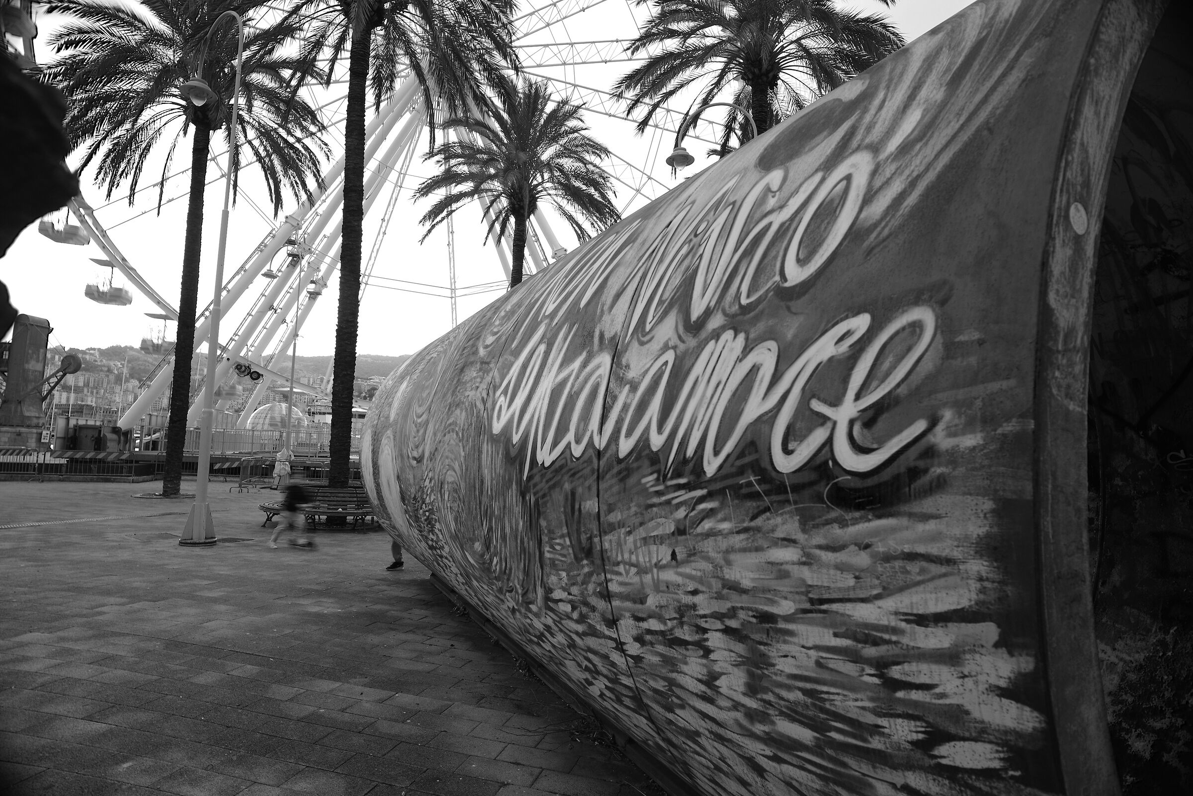 Non Vivo Senza Amore.