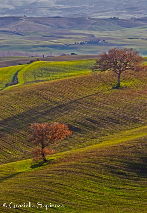Val d 'Orcia ...