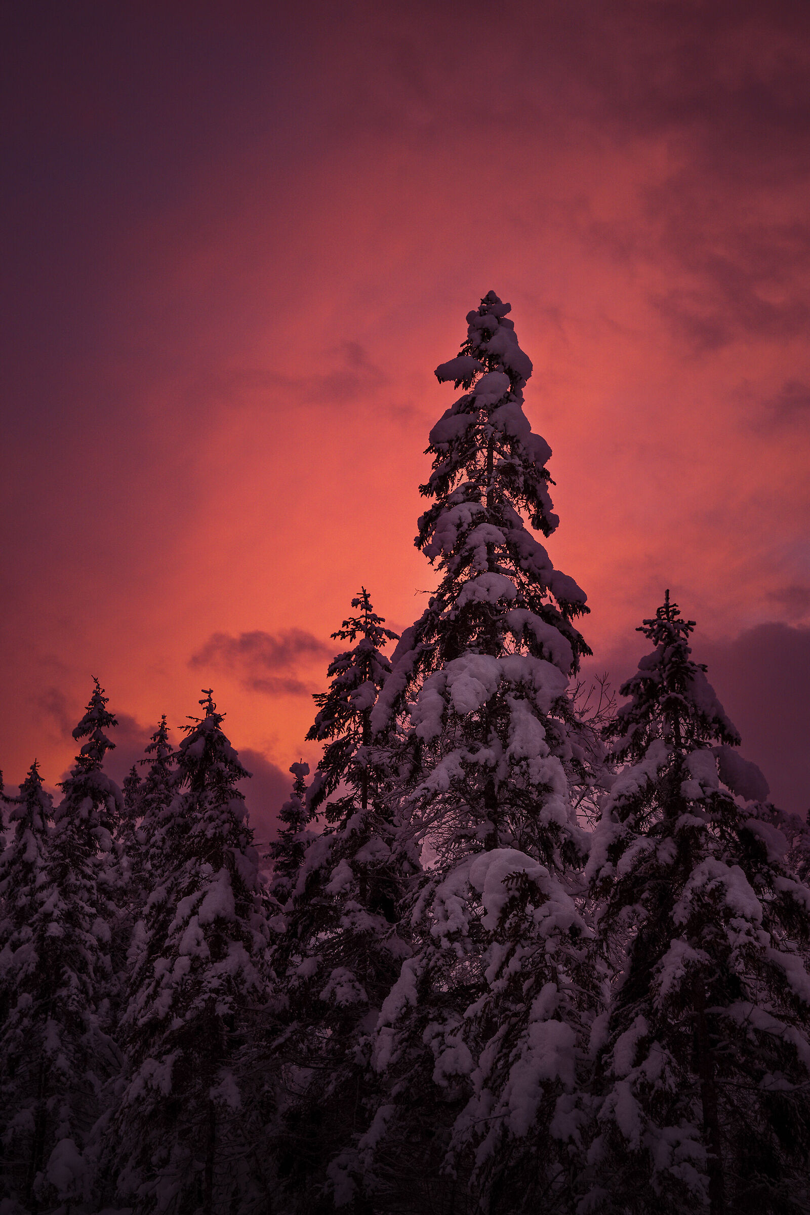 Tramonto d'inverno - Val Saisera - Alpi Giulie