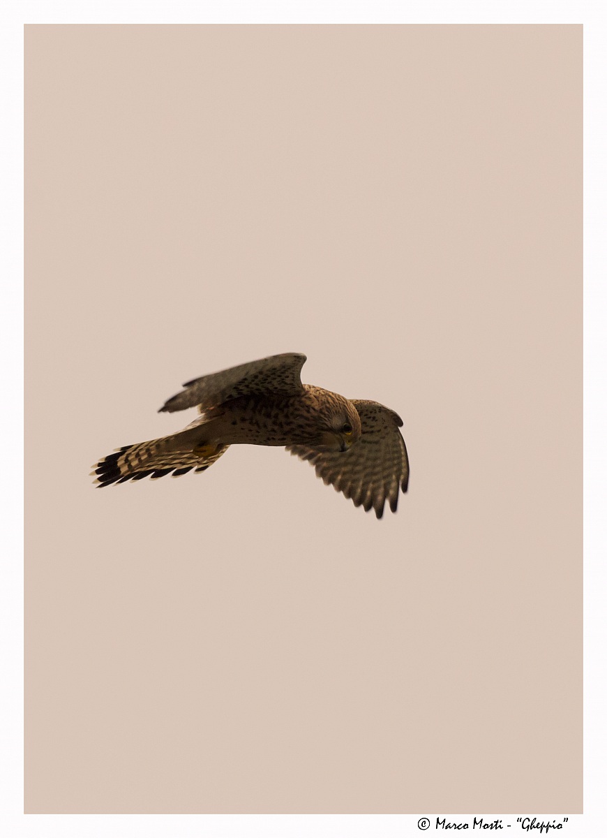 Pointing in the Holy Spirit