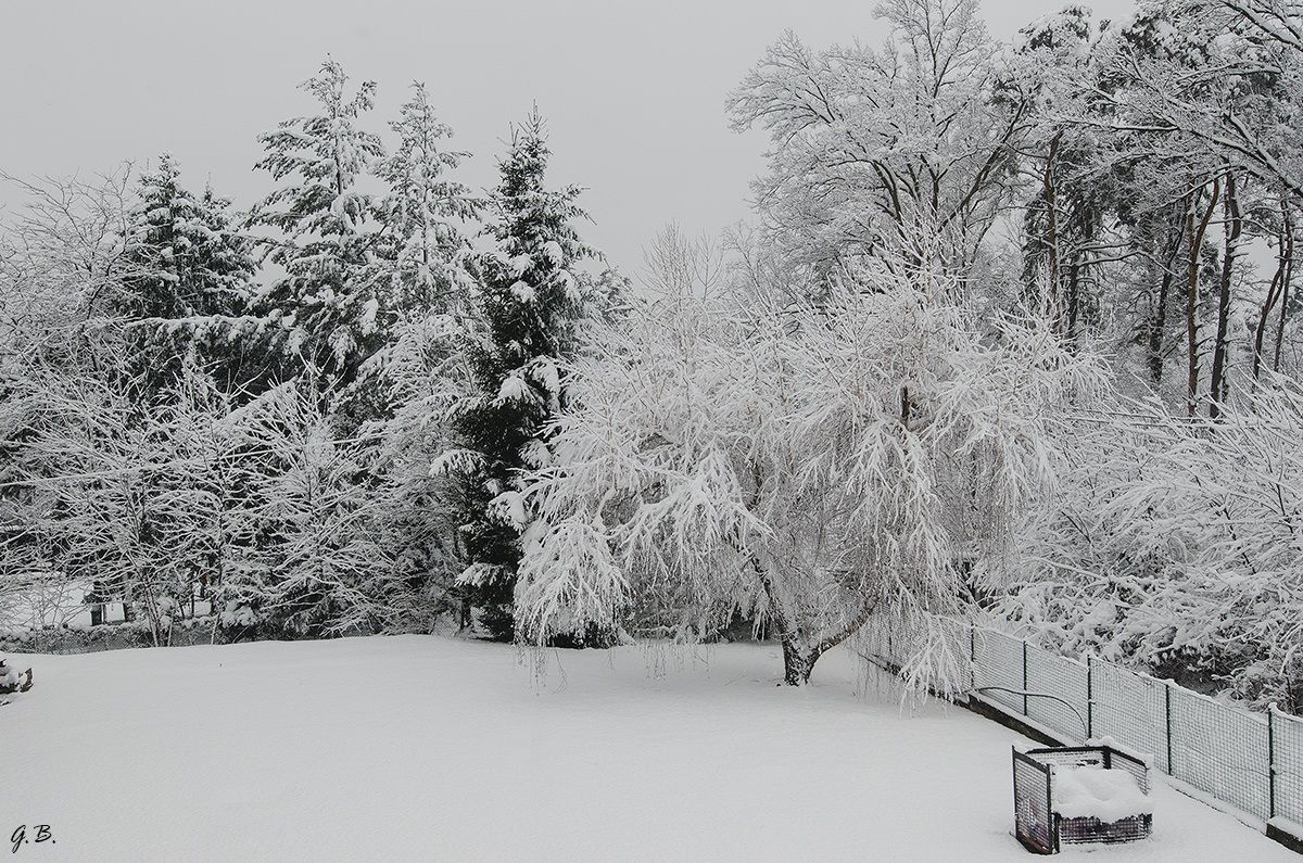 Looking out the window