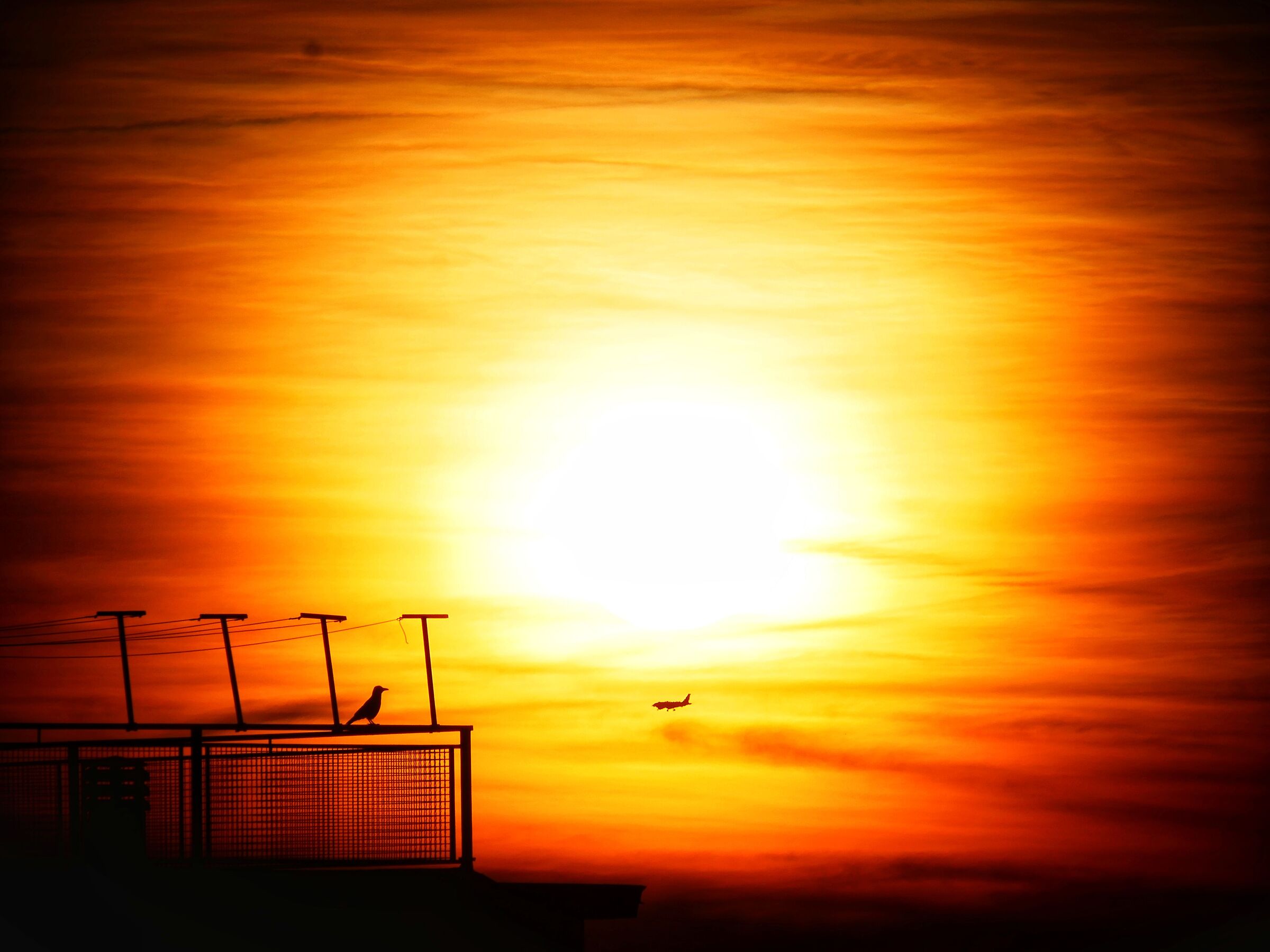 Ti ricordo che hai iniziato a volare dopo di me