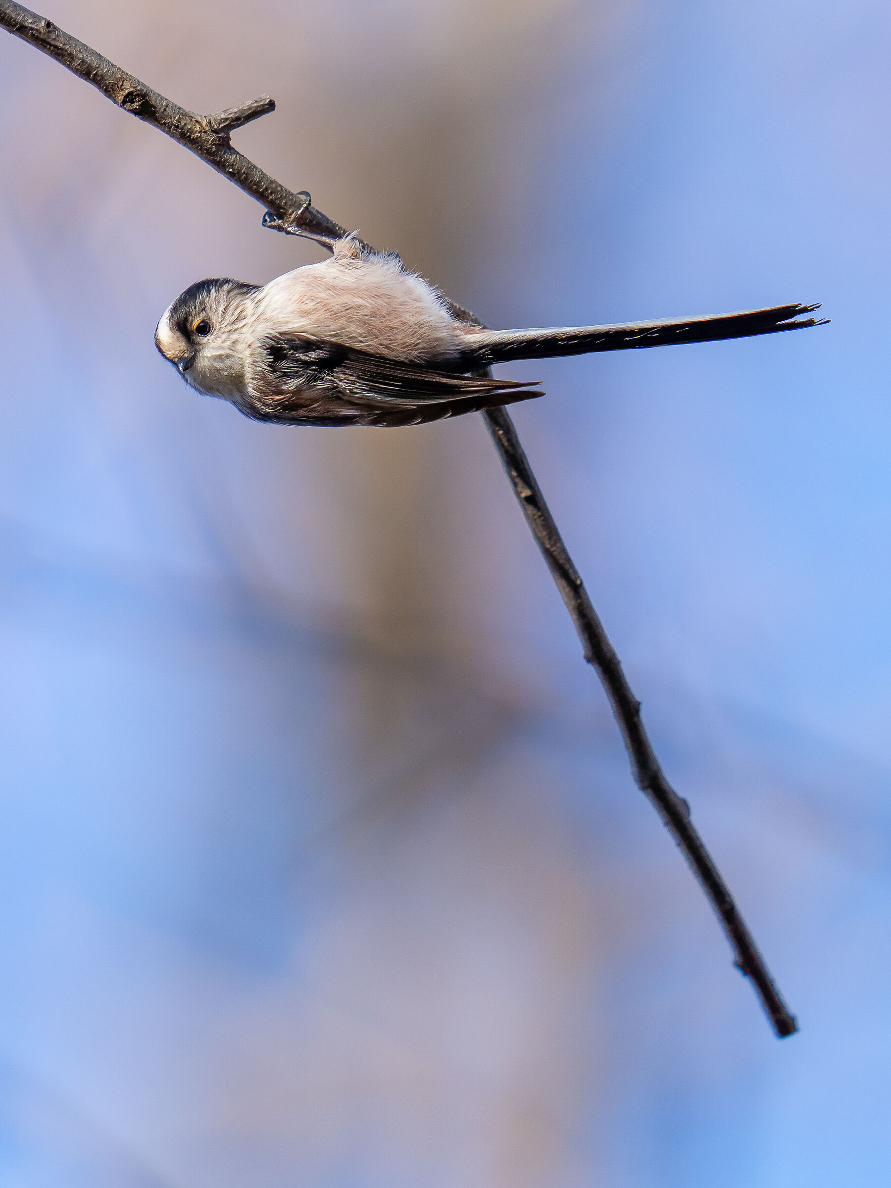 And don't try it at home!