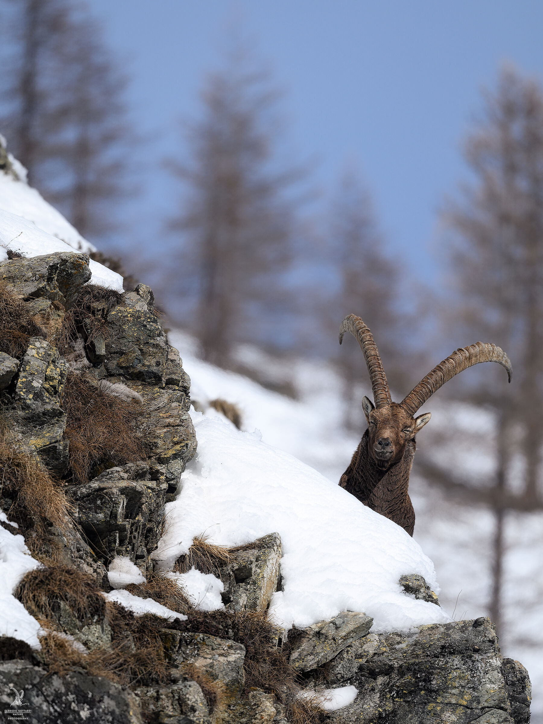 Post-eaten relaxation