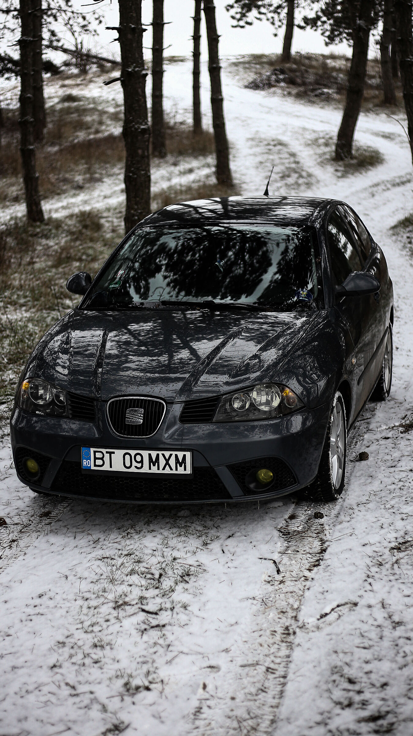 Seat Ibiza FR