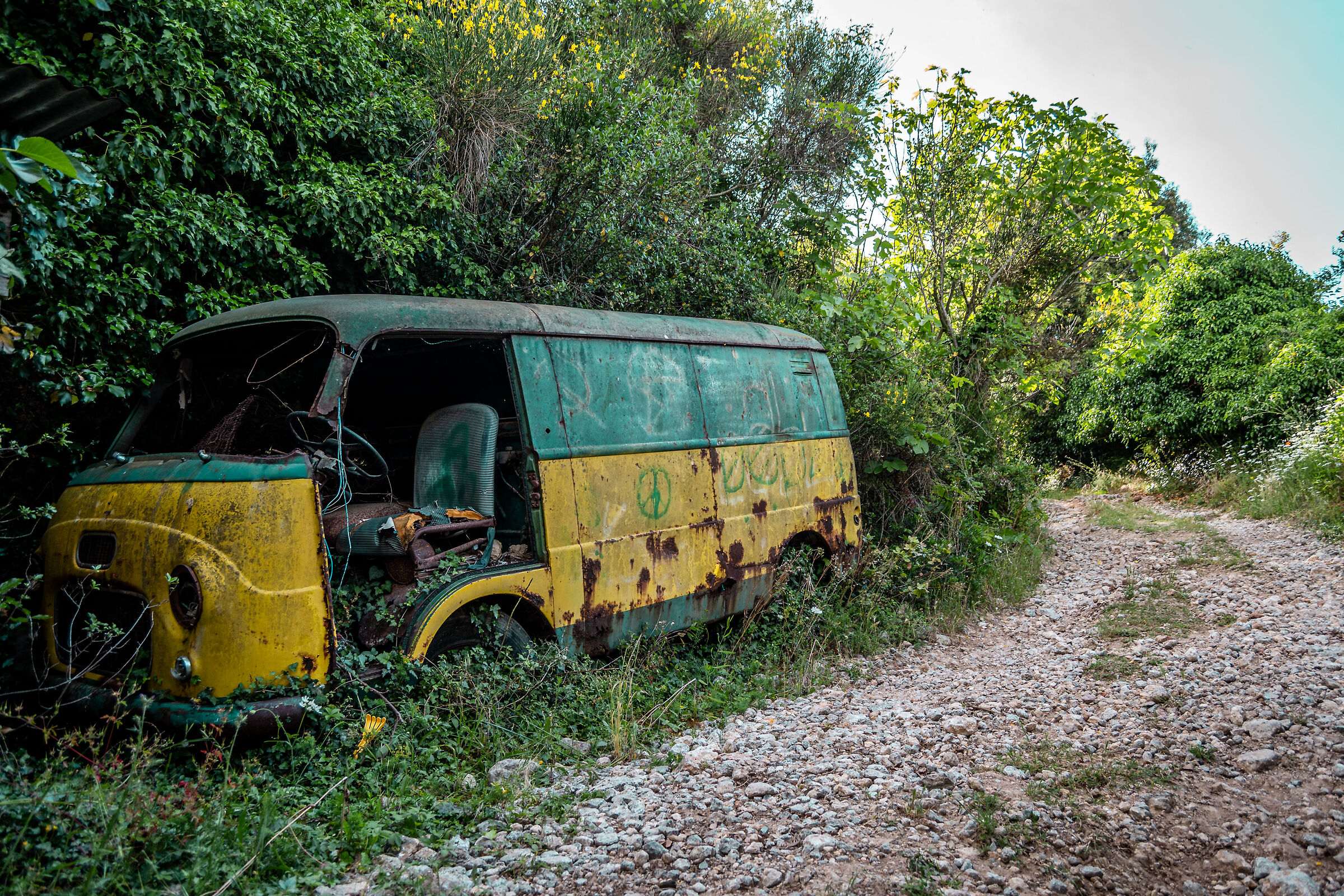 La natura che si riprende il futuro