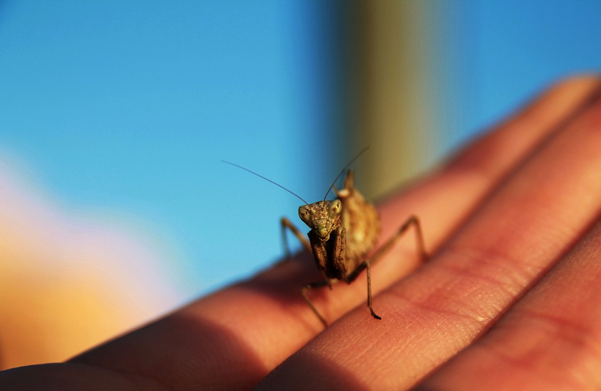 What you looking at?