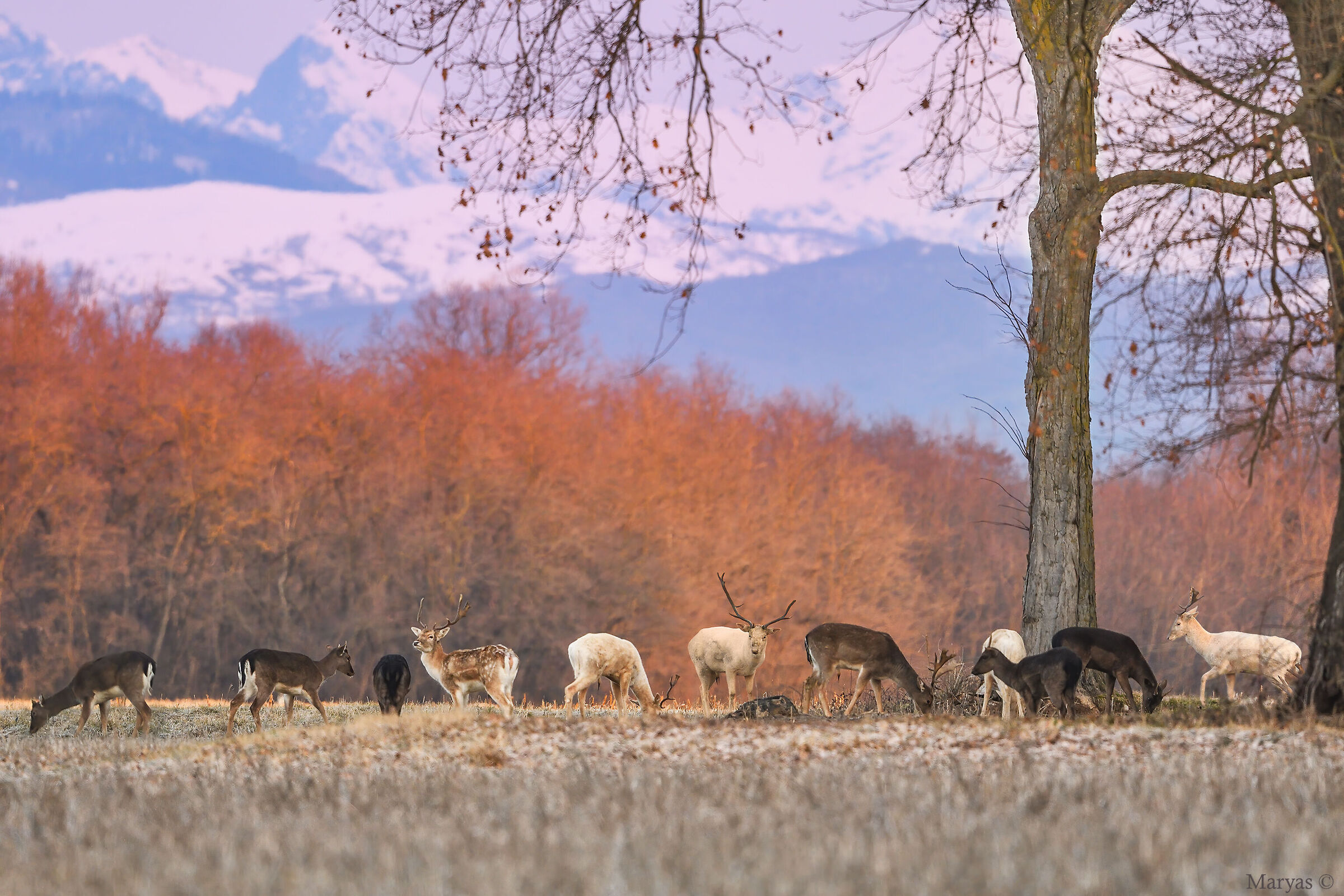 Emozionante incontro
