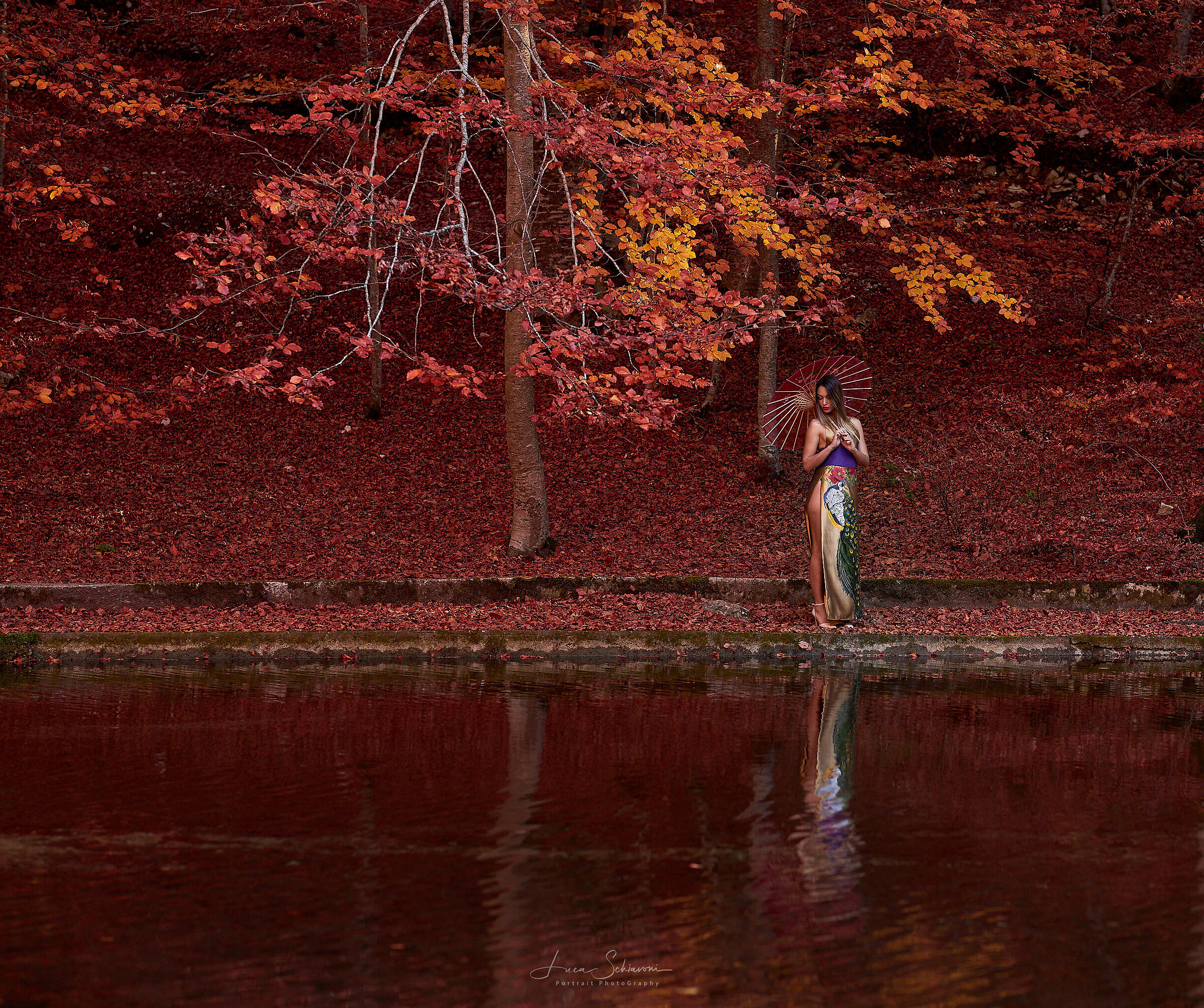Autumn in Japan