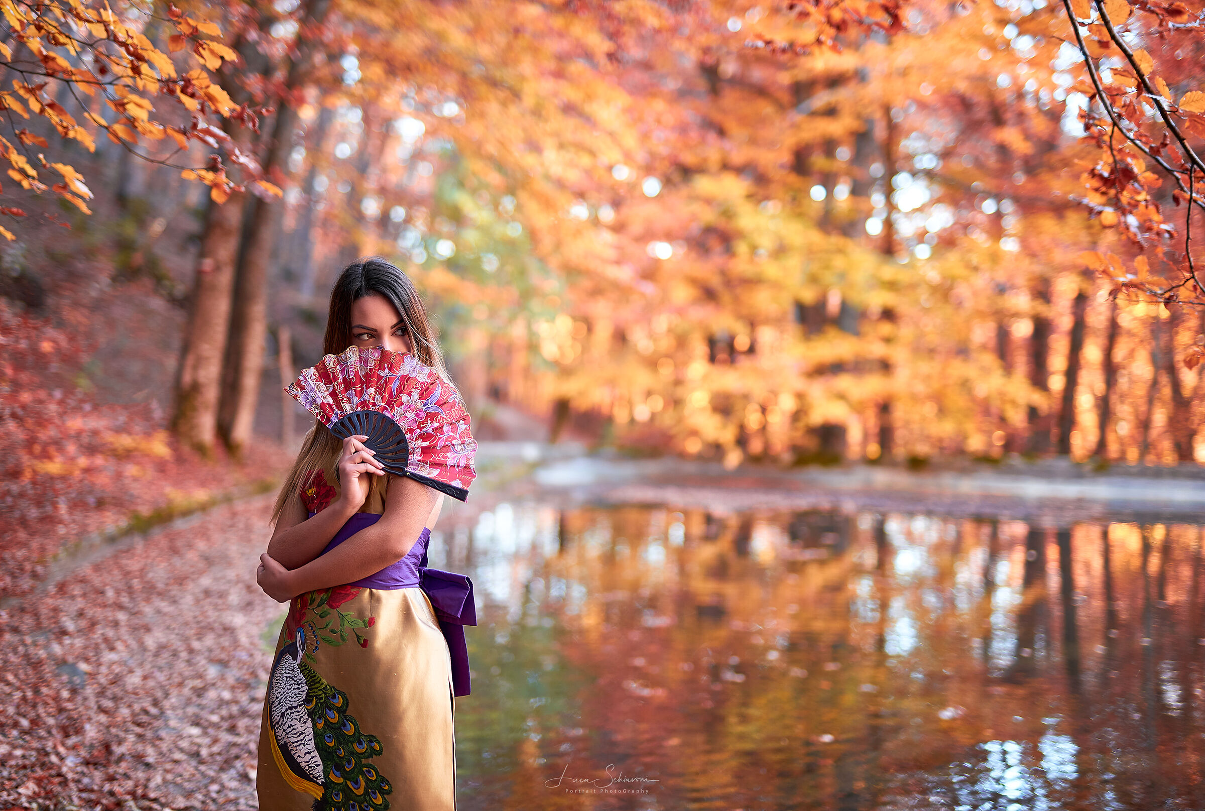 Autumn in Japan