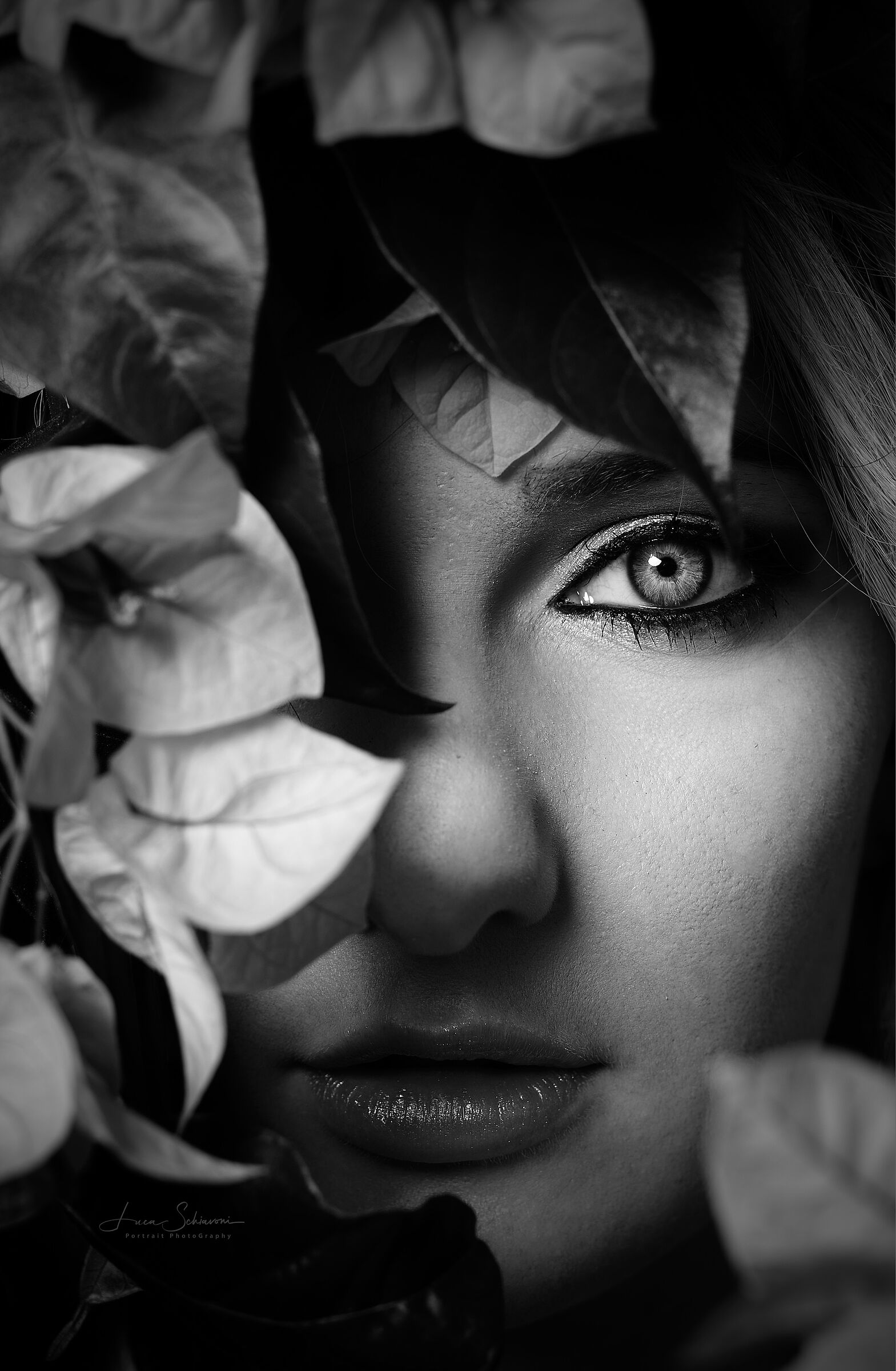 Eyes