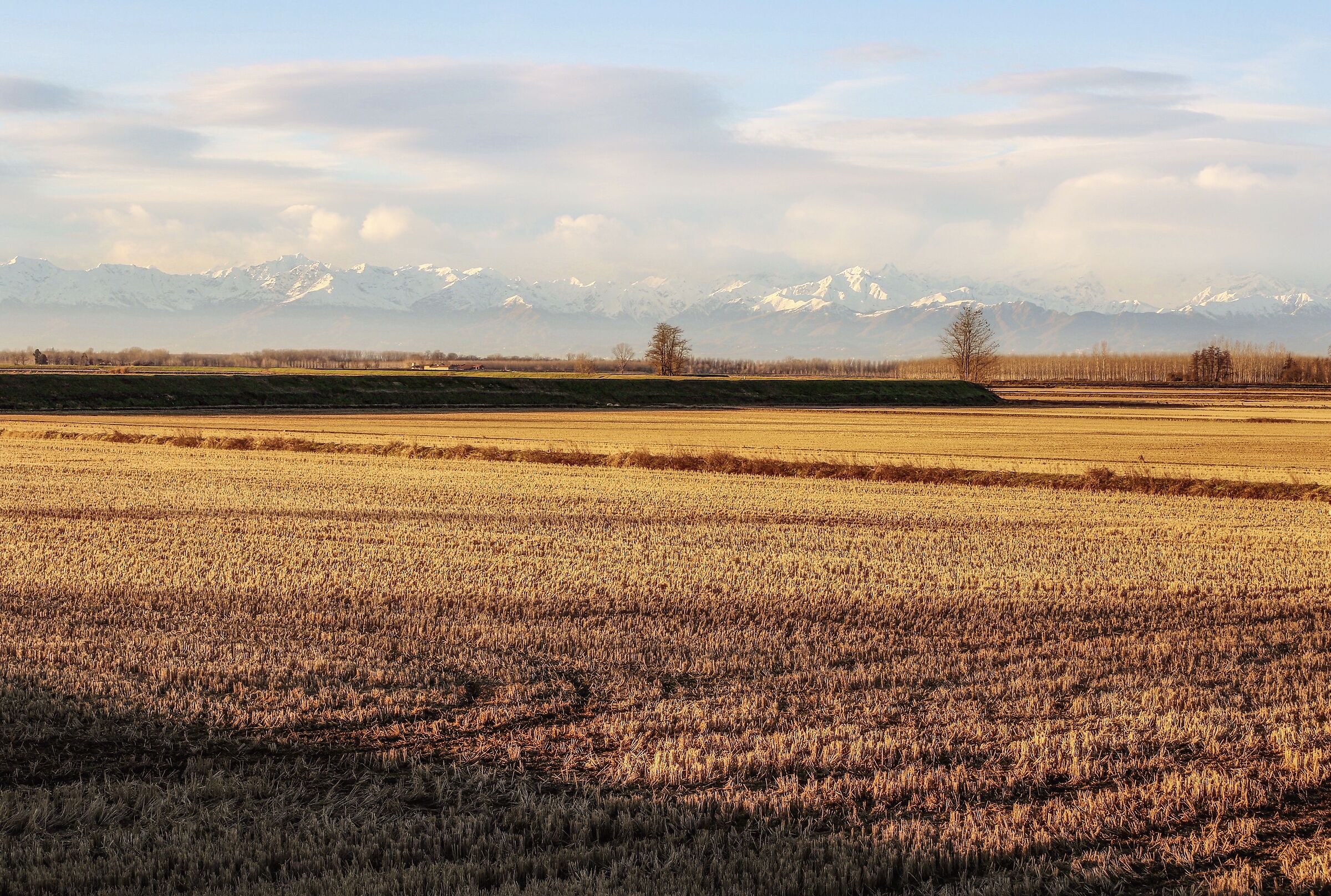 Campagna vercellese.