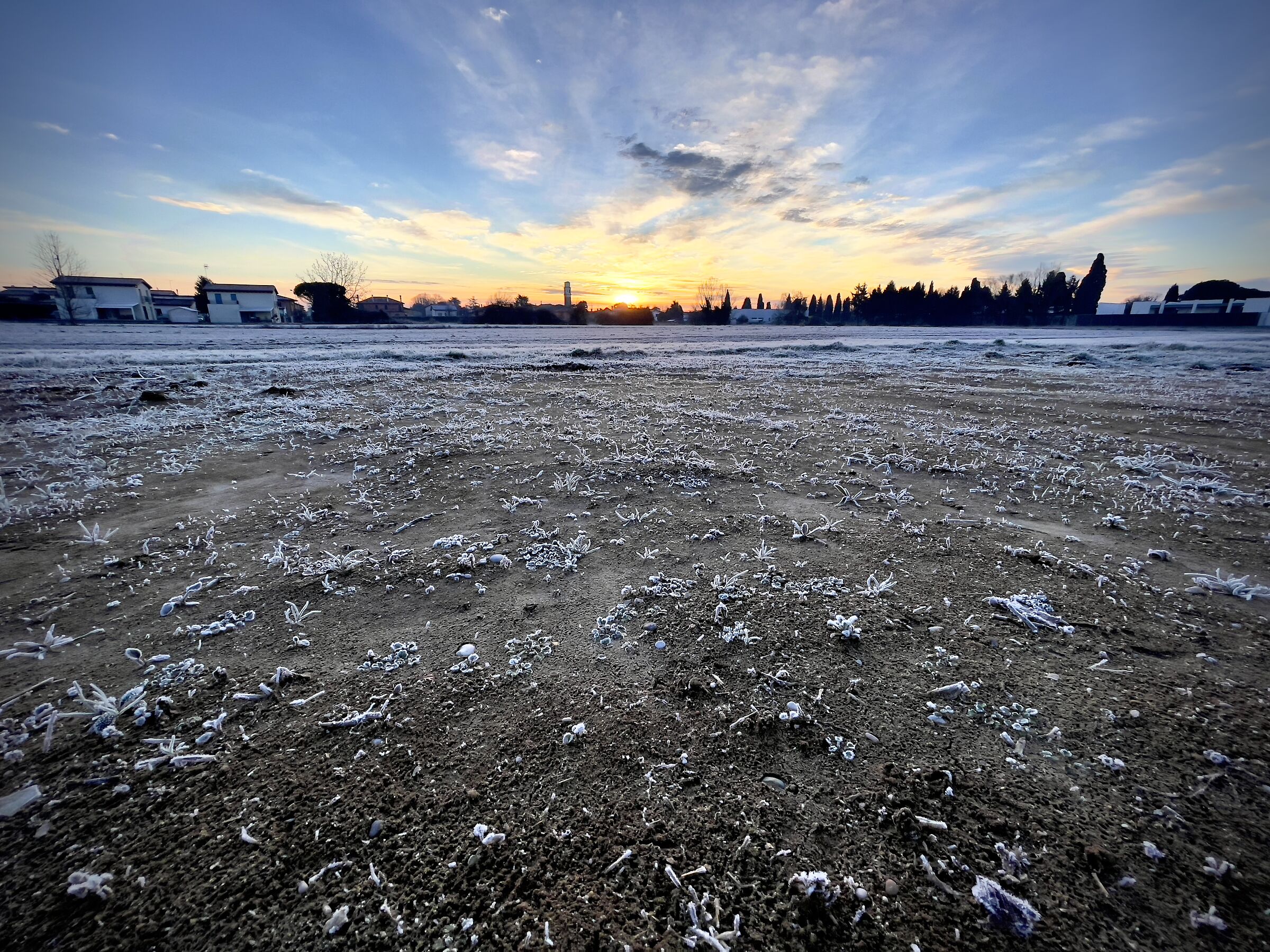 Frosty Morning, New York