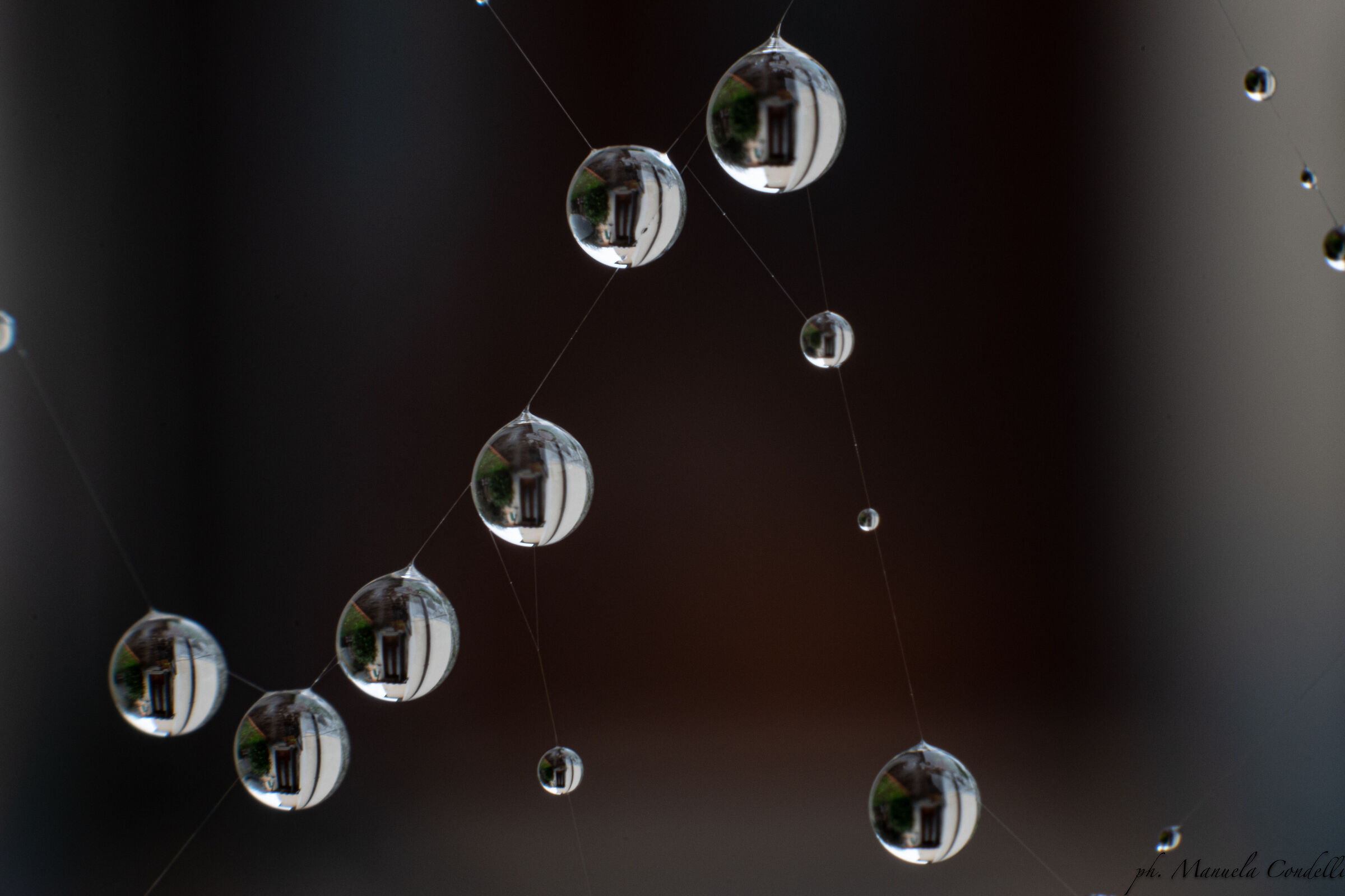 balls-drop