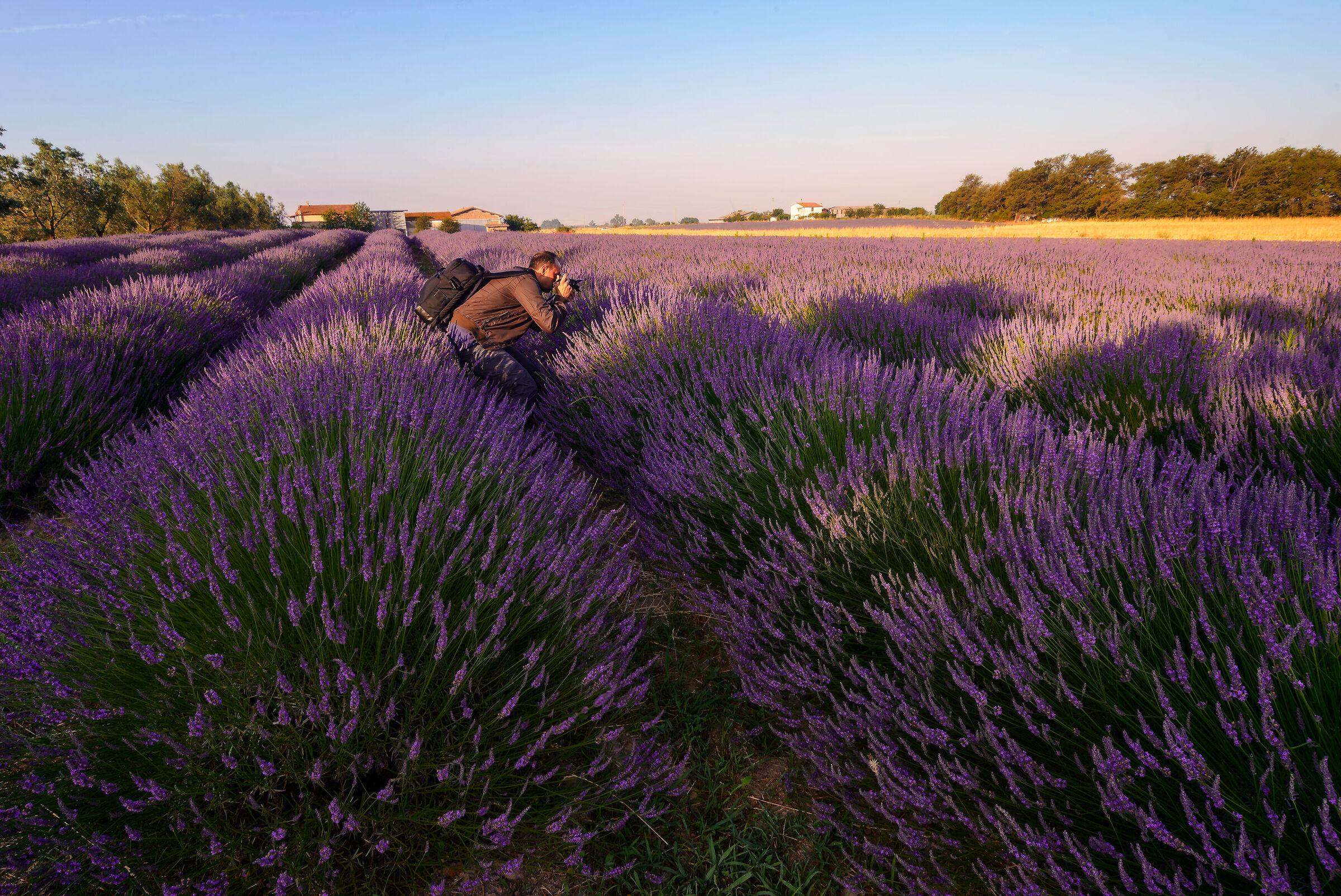 Autoritratto di un dilettante