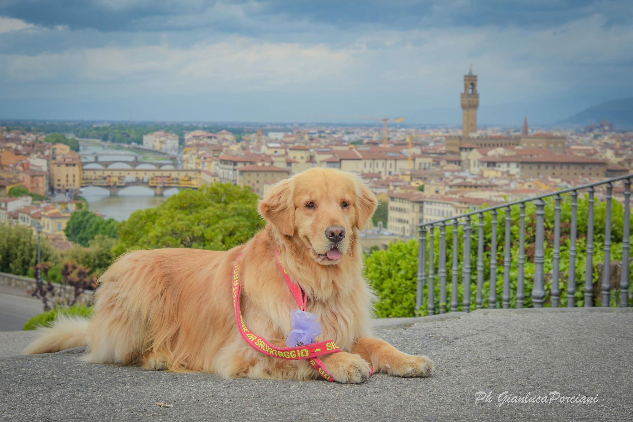 Kelly a Firenze