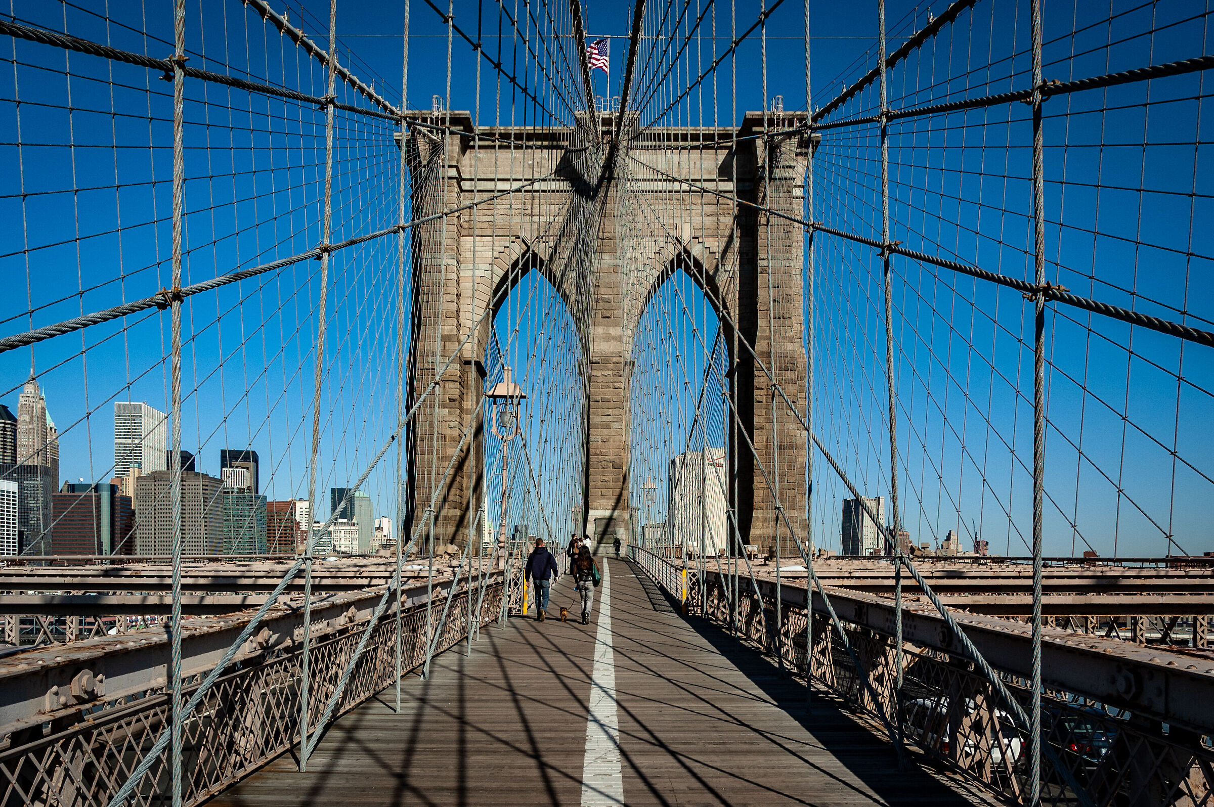 Brooklyn Bridge Cobweb