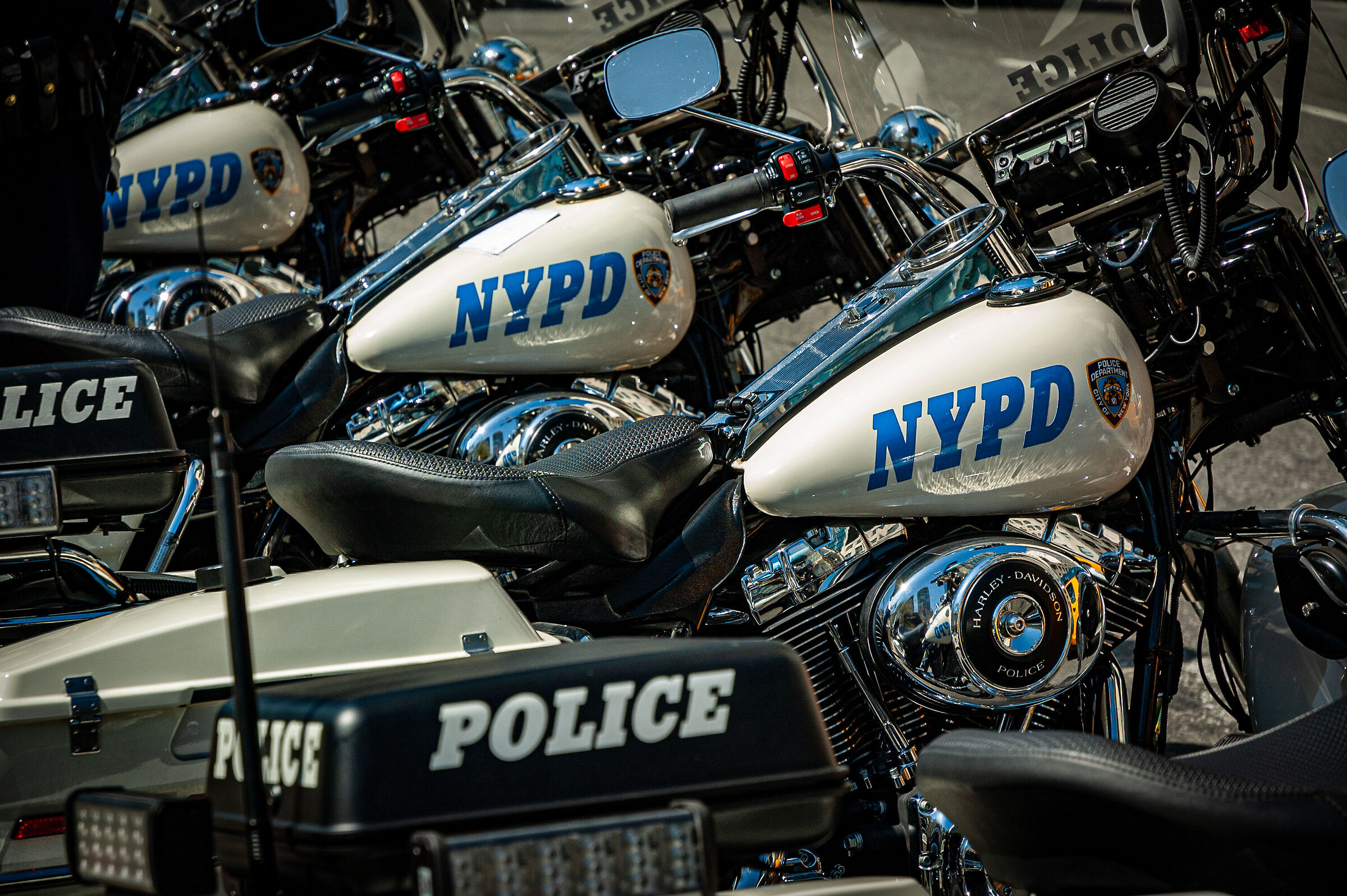 nypd