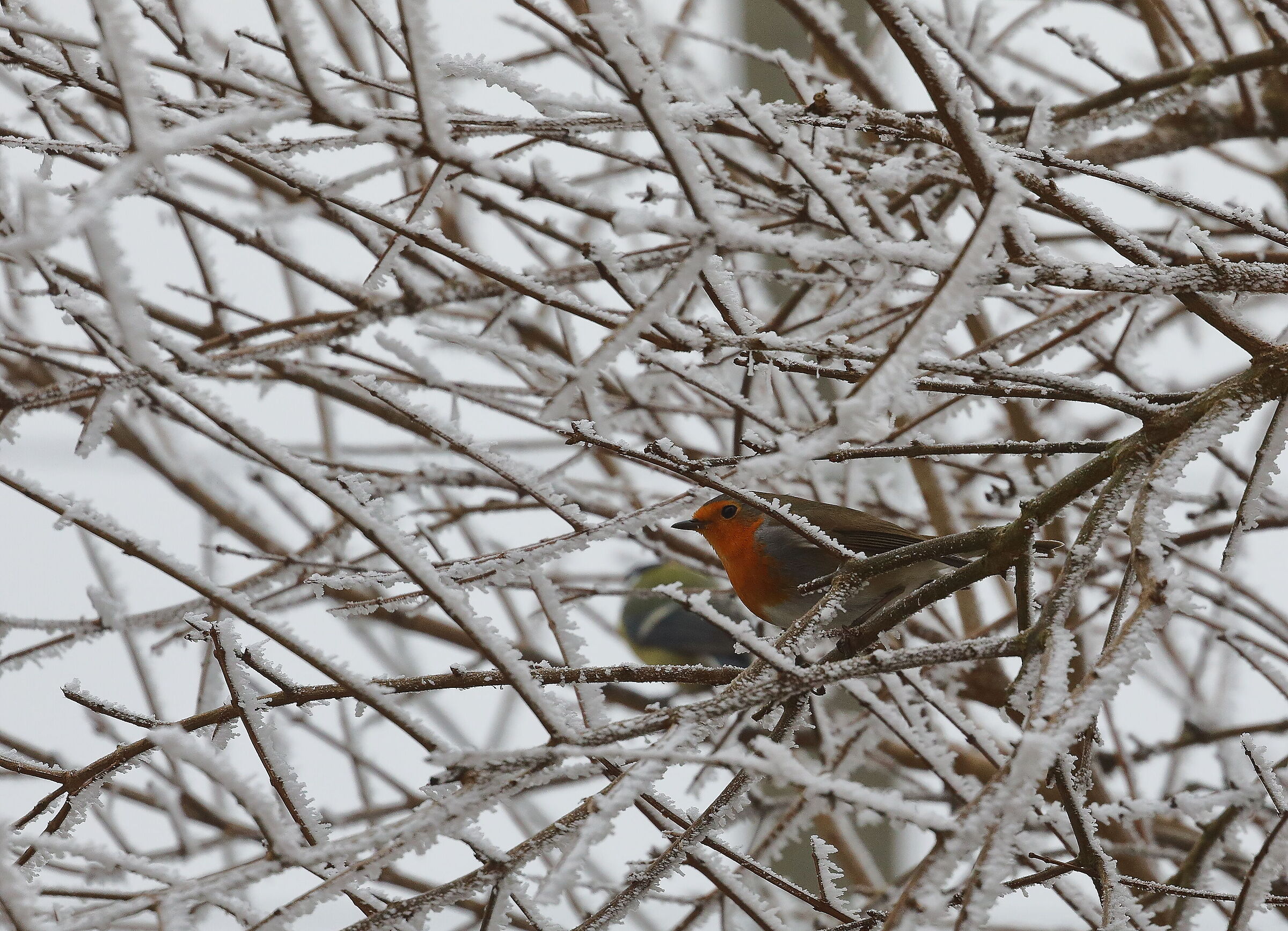 ... hard times for our friends...