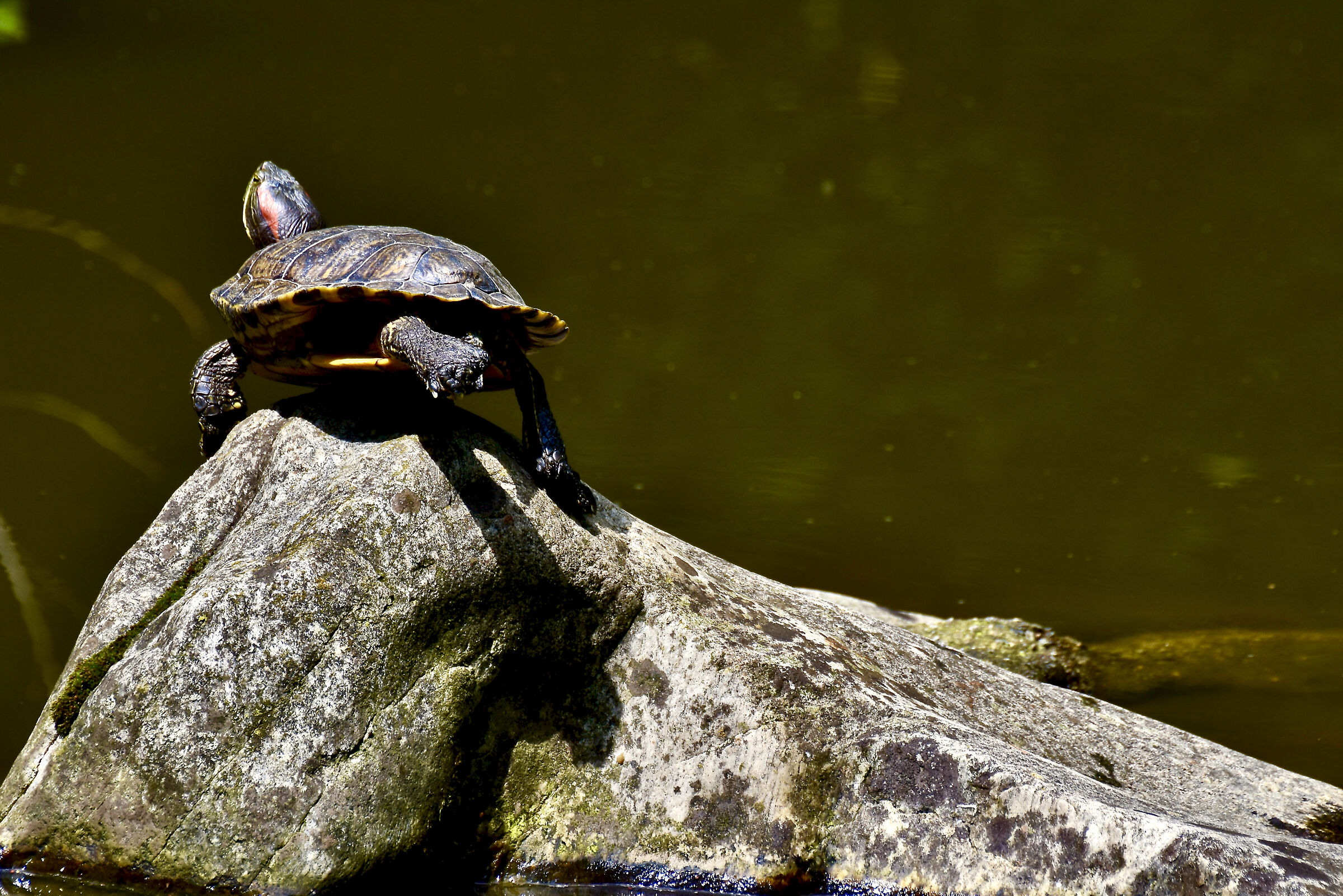 Finally some stretching!!!