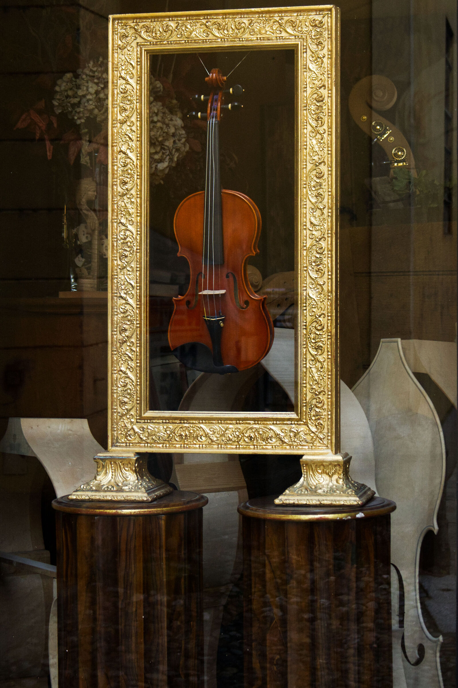 Il violino