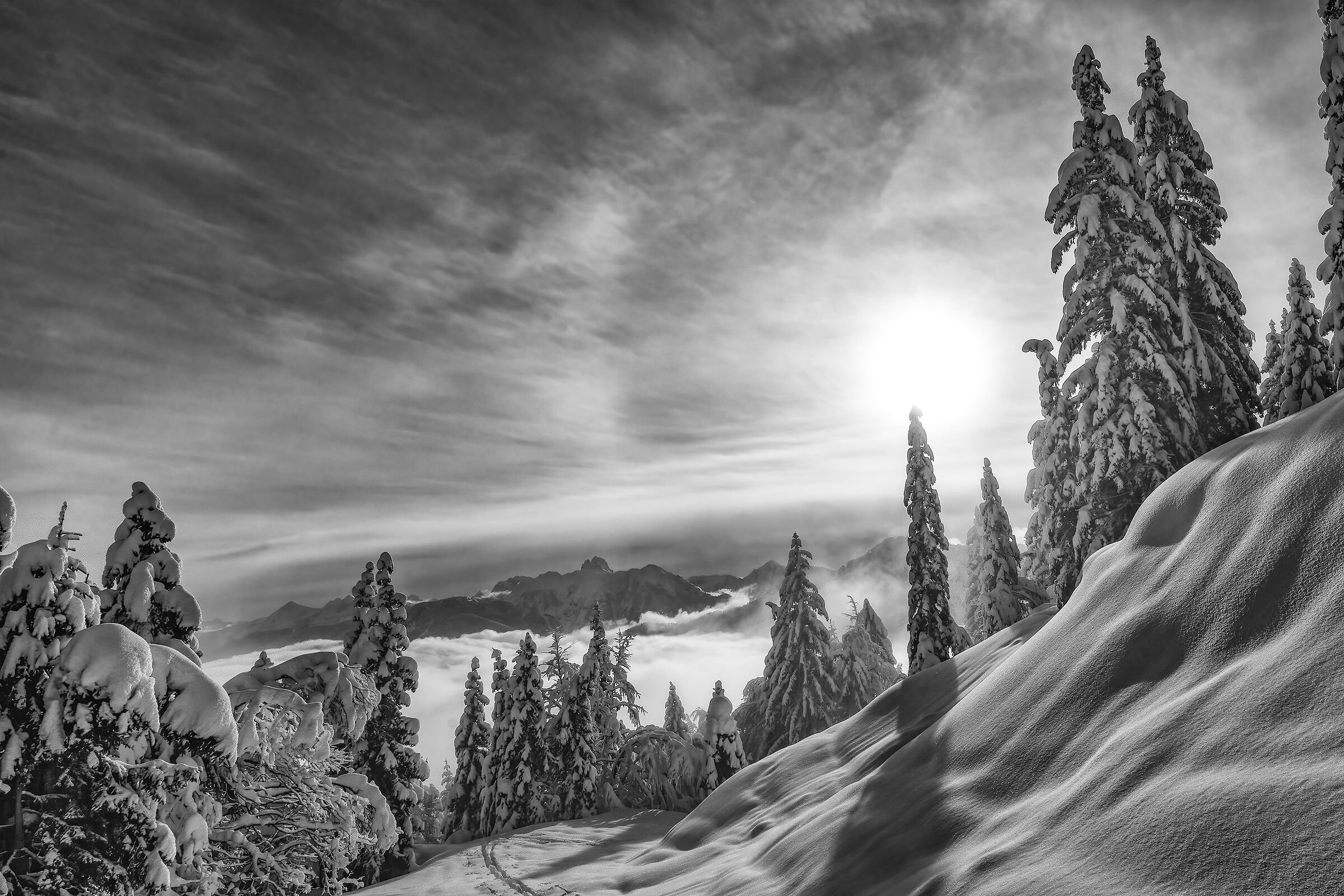 Snow shadows and light