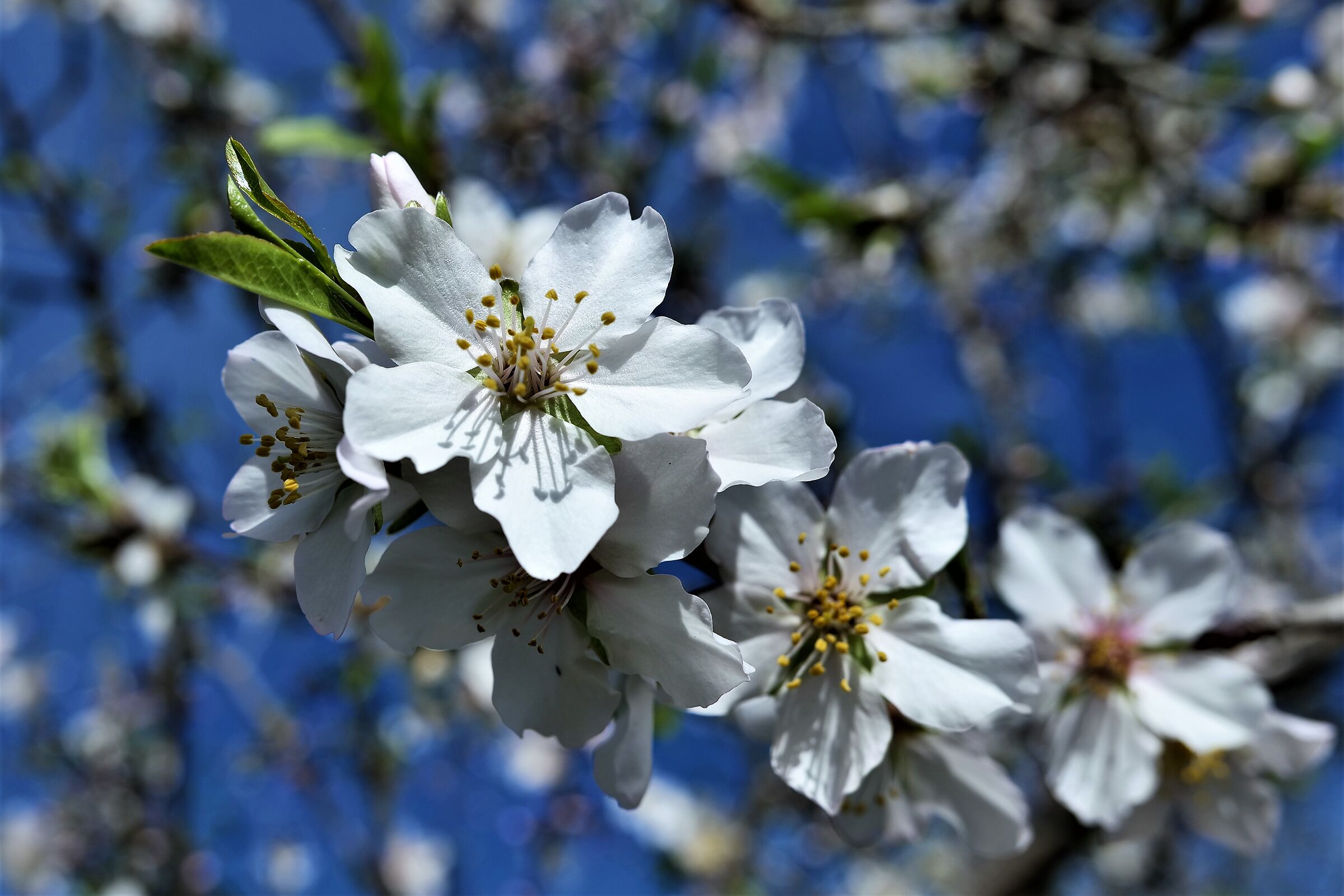 spring just around the corner