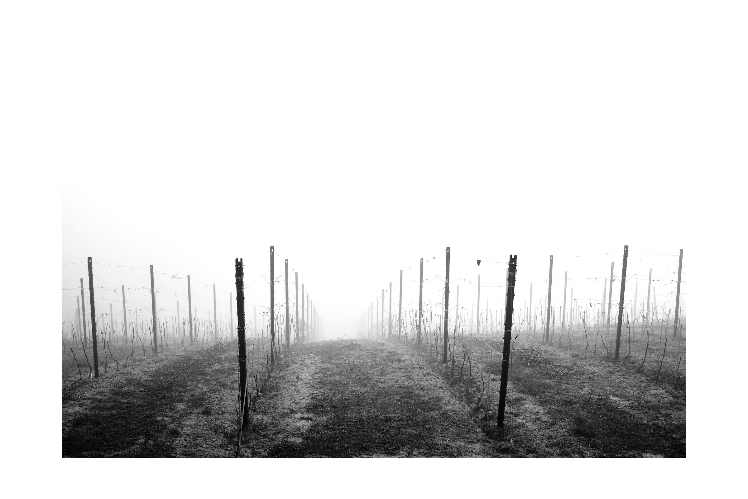 verso l'ignoto
